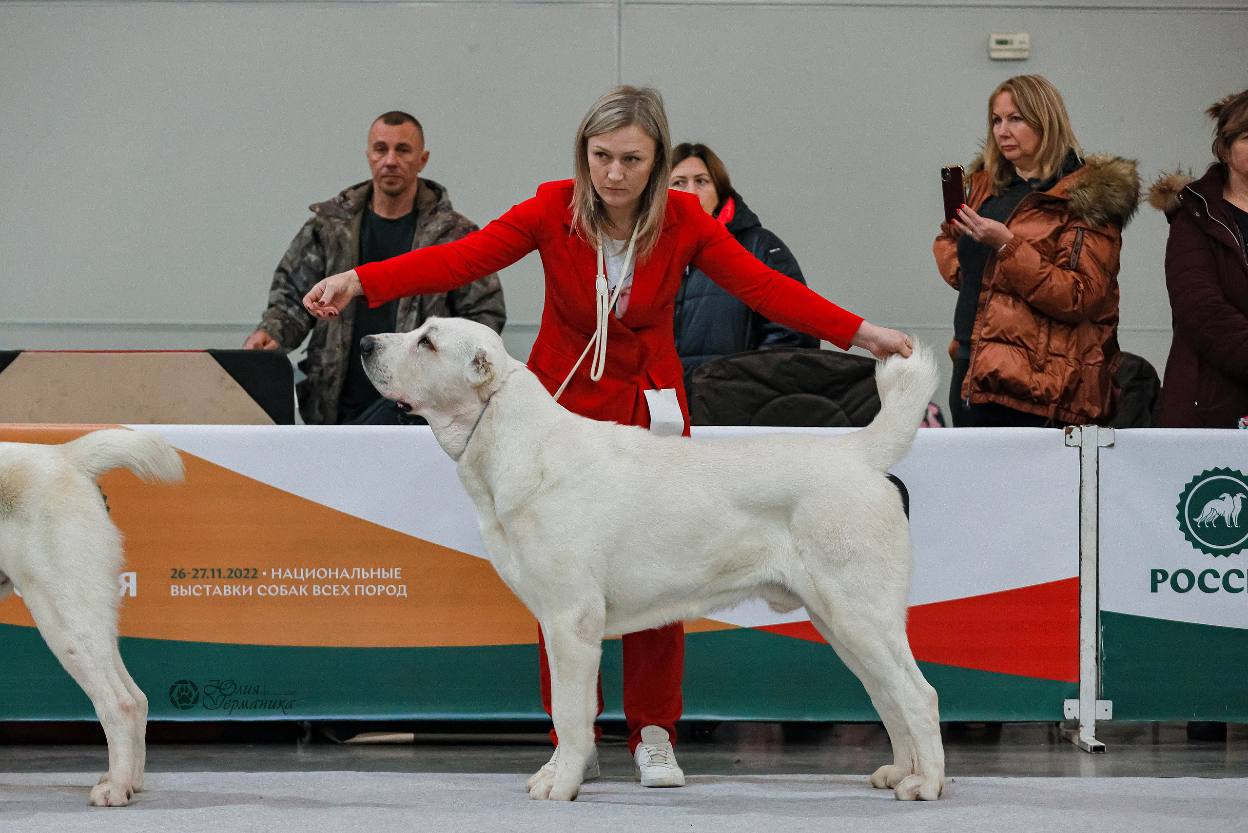 Россия 2020-2022 26-27.11.2022. Фотограф-анималист Юлия Германика