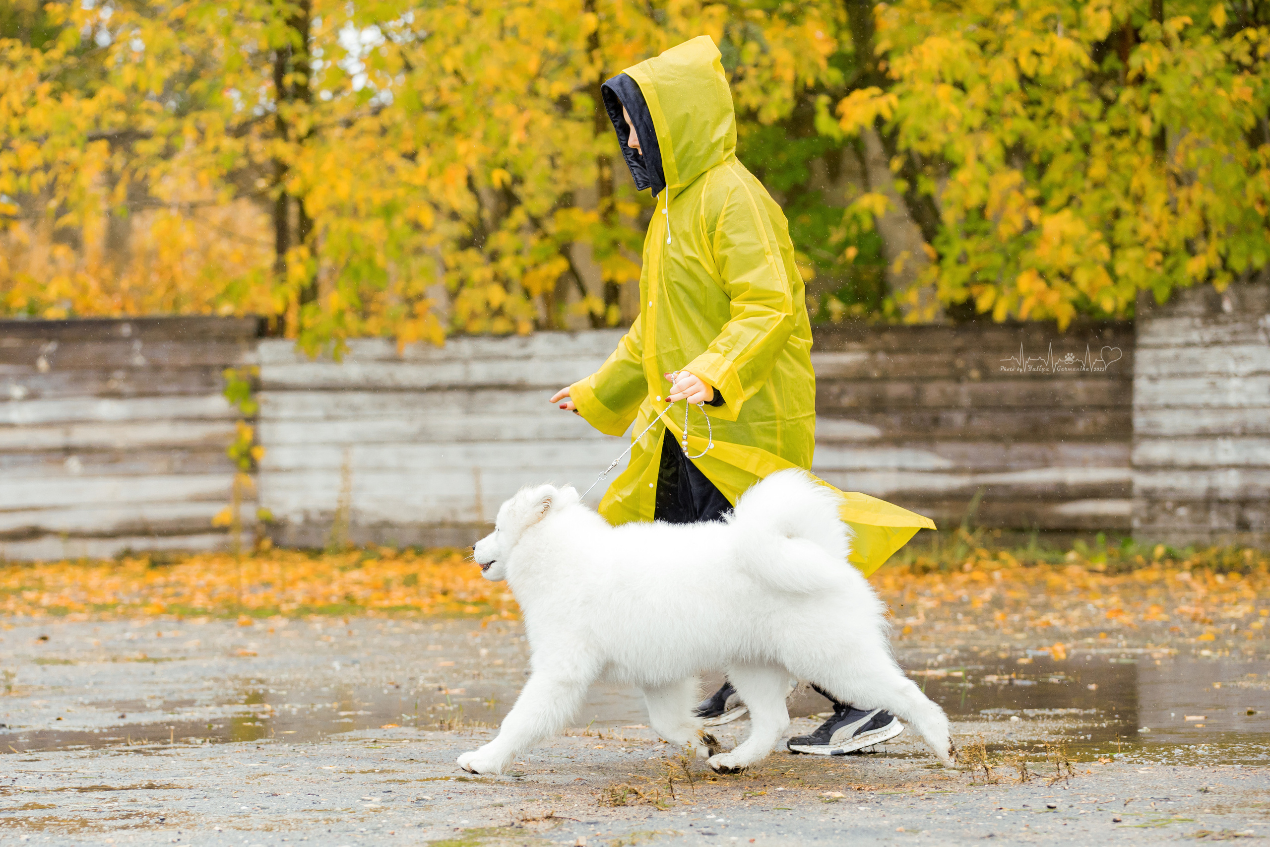 Александров 24.09.2022. Фотограф-анималист Юлия Германика