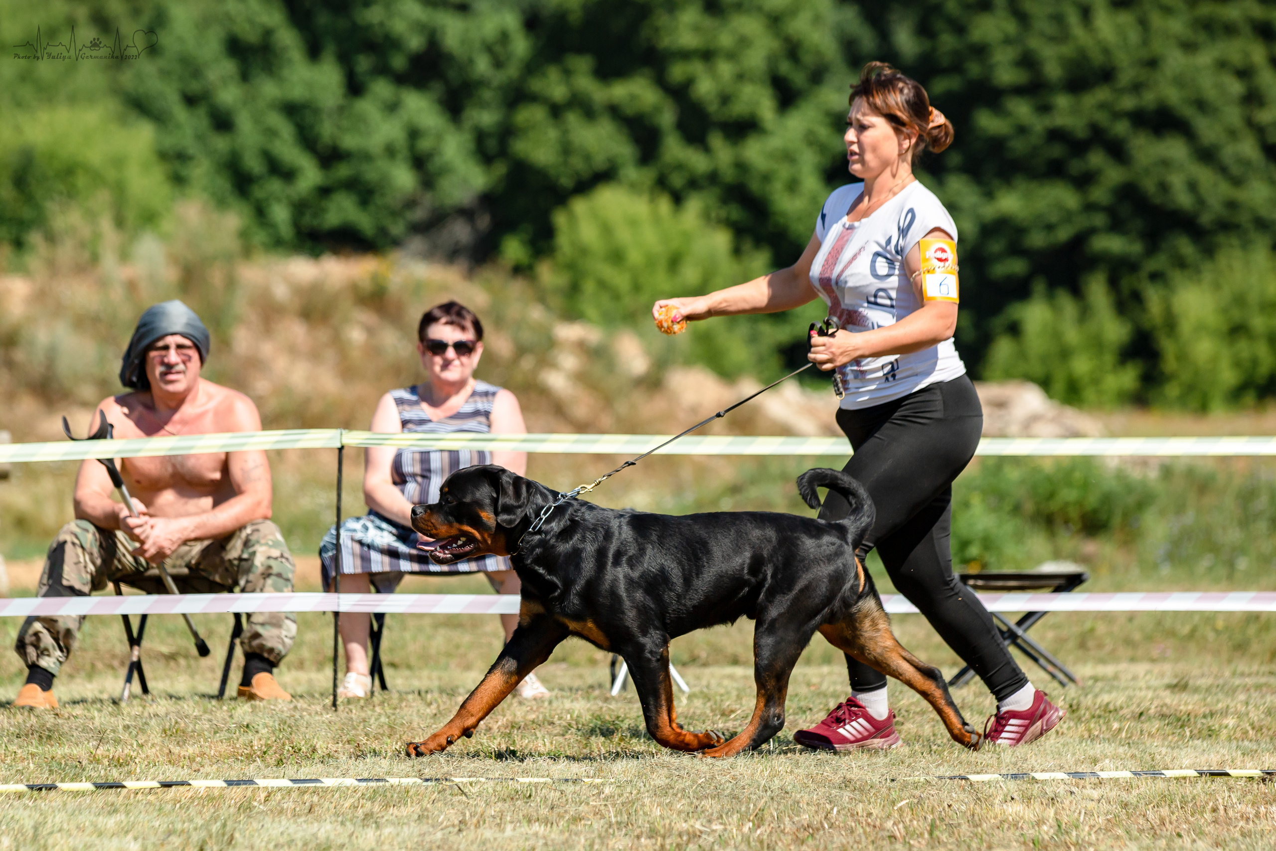 Рязань моно ротвейлеров 13.08.2022. Фотограф-анималист Юлия Германика