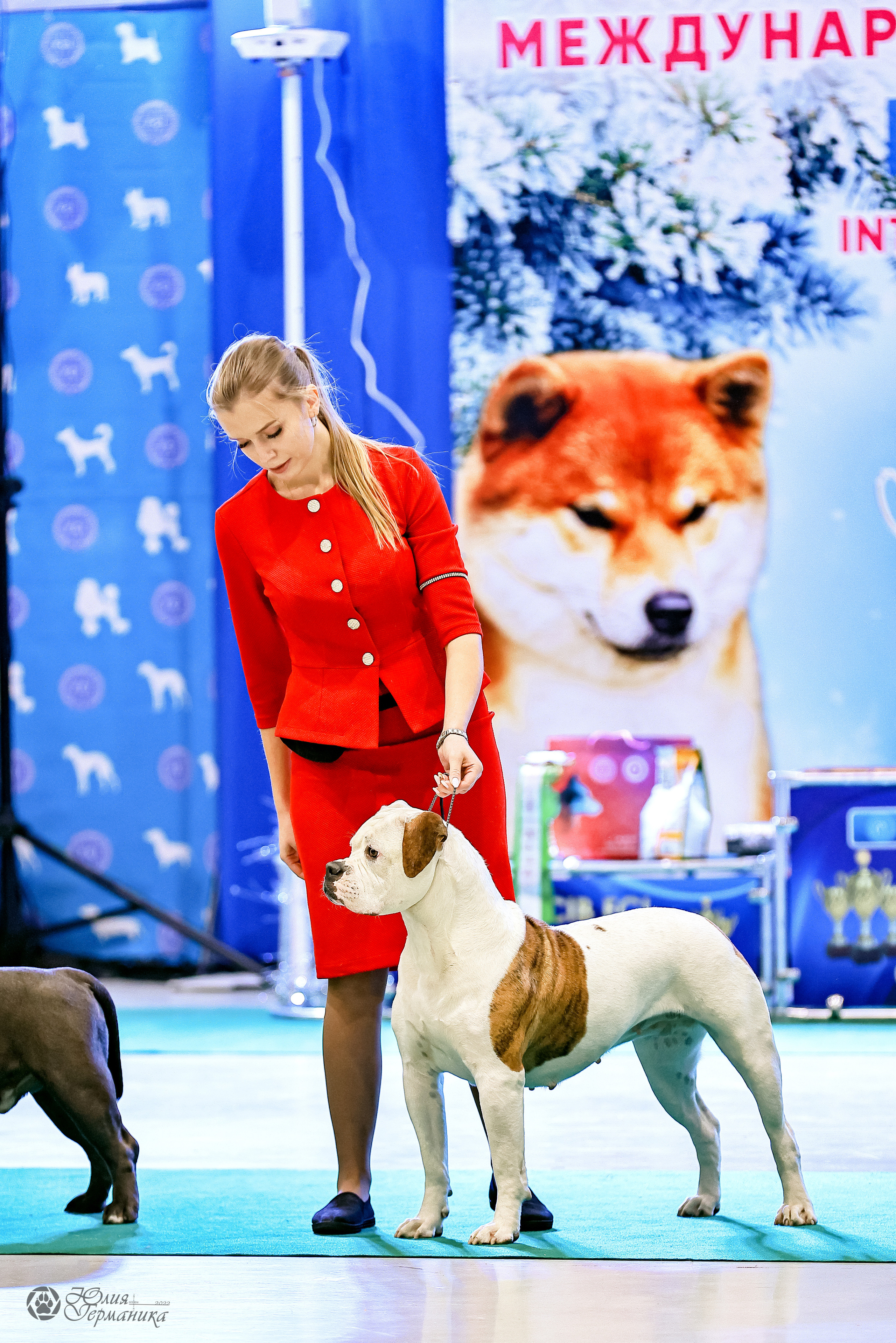 Минск 19-20.11.2022. Фотограф-анималист Юлия Германика