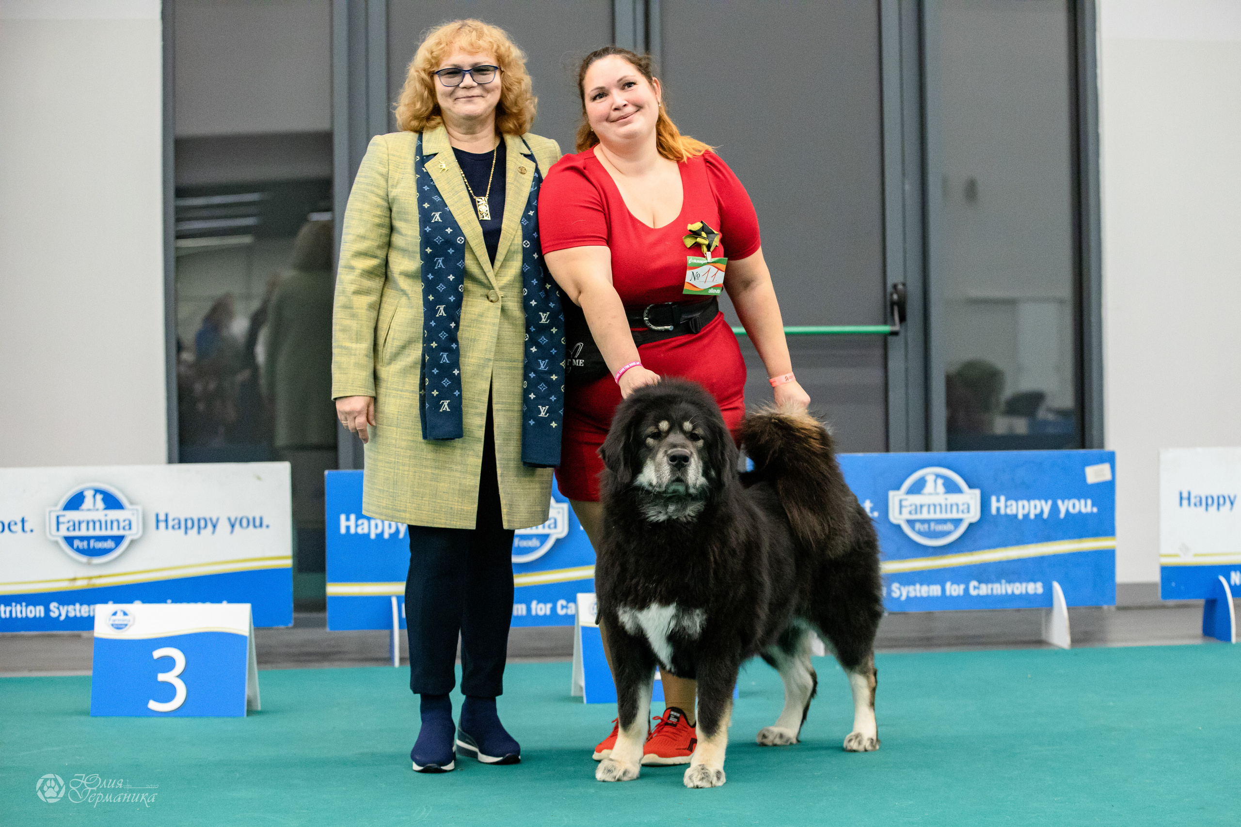 Нижний Новгород 15-16.10.2022. Фотограф-анималист Юлия Германика