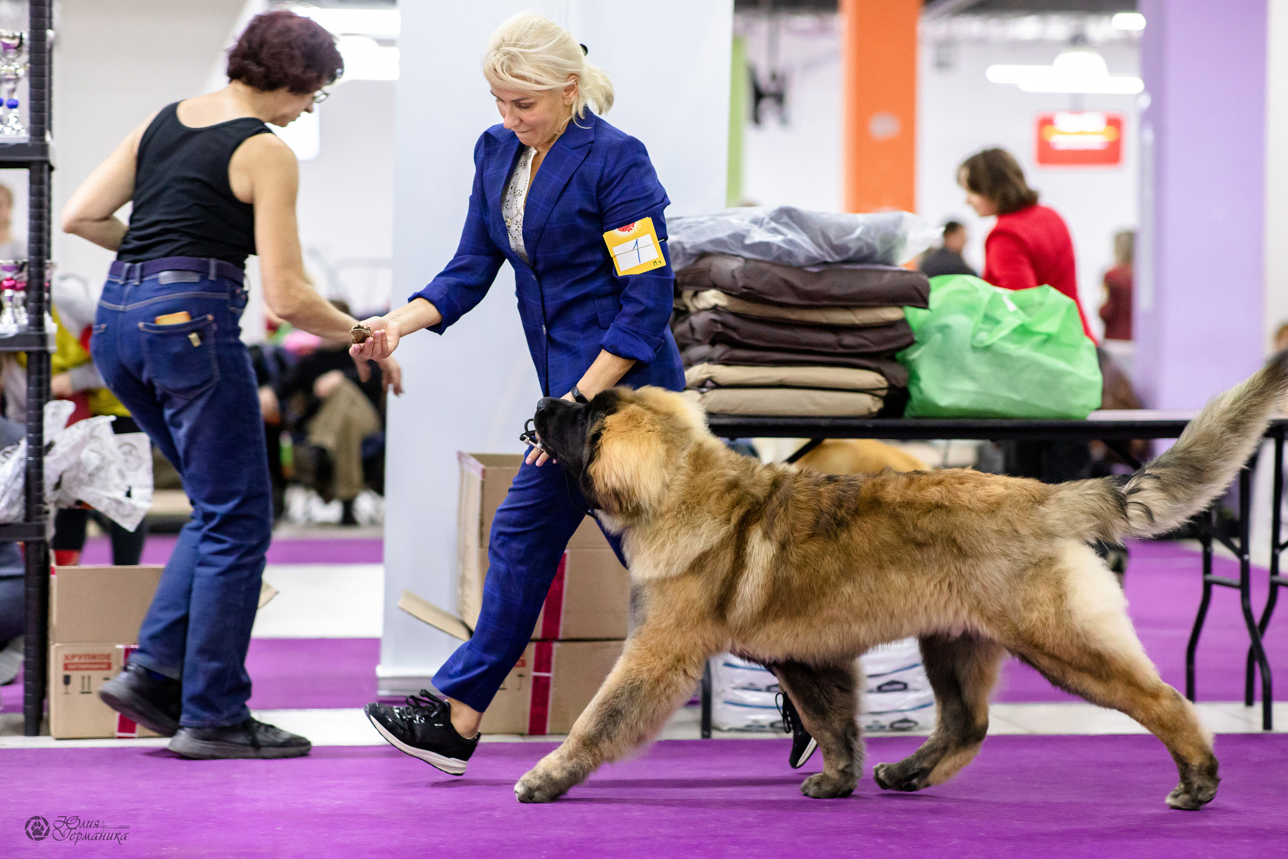 Чайна-Таун 29-30.10.2022. Фотограф-анималист Юлия Германика