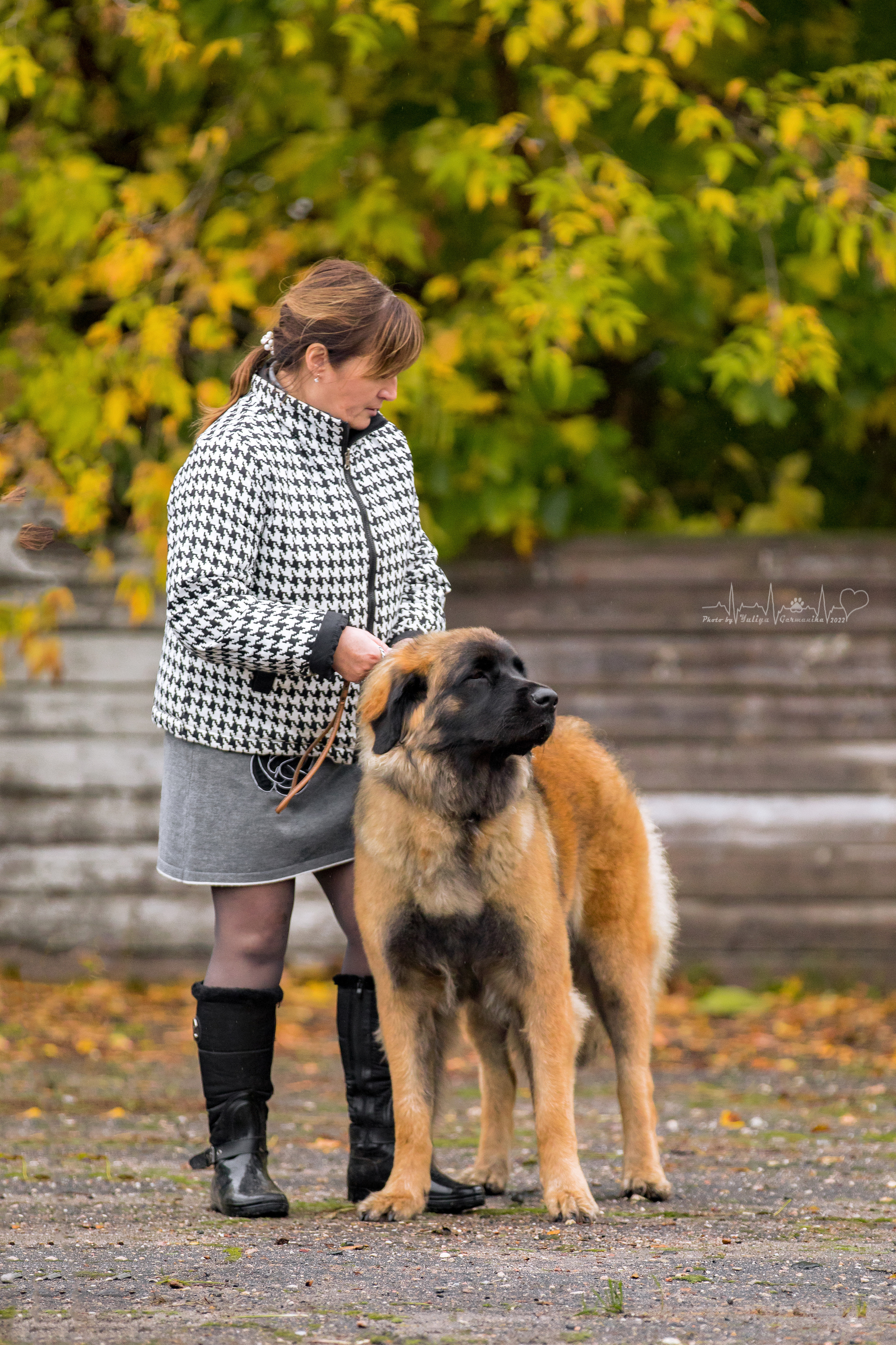 Александров 24.09.2022. Фотограф-анималист Юлия Германика