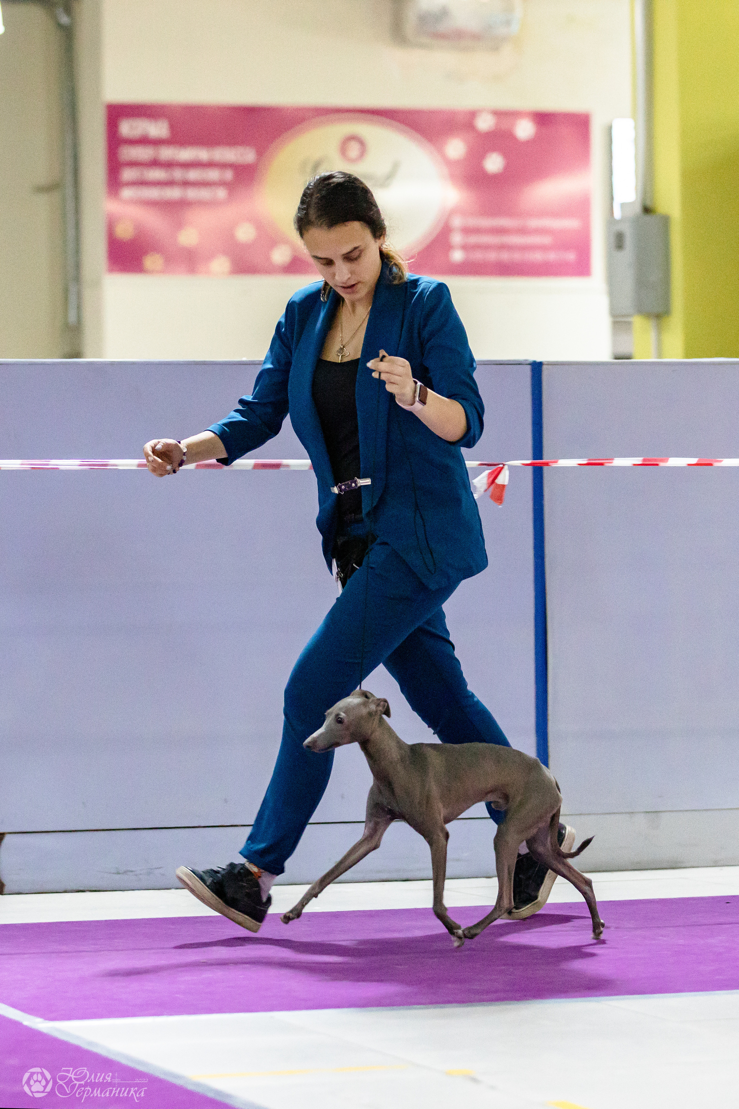 Чайна-Таун 29-30.10.2022. Фотограф-анималист Юлия Германика