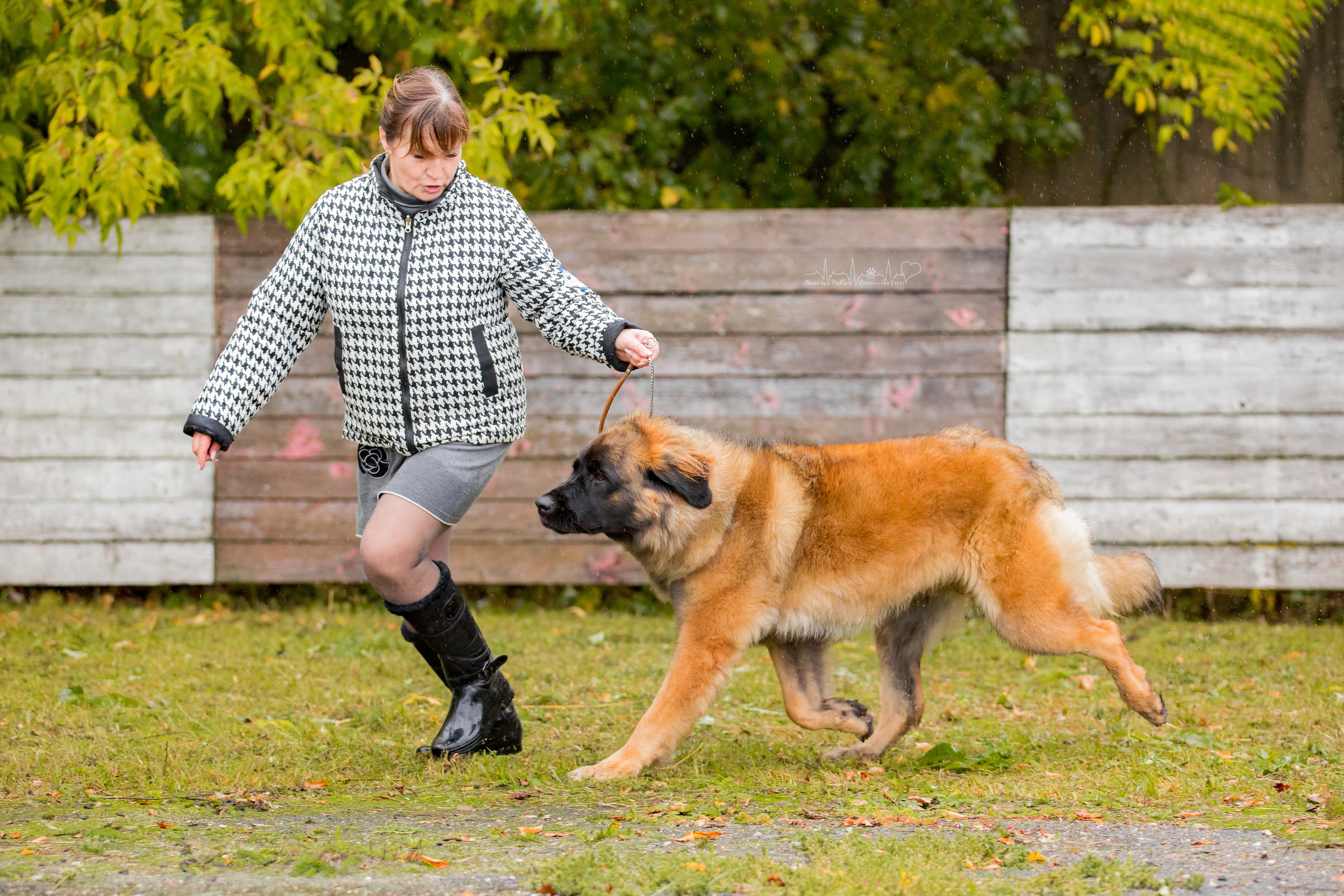 Александров 24.09.2022. Фотограф-анималист Юлия Германика