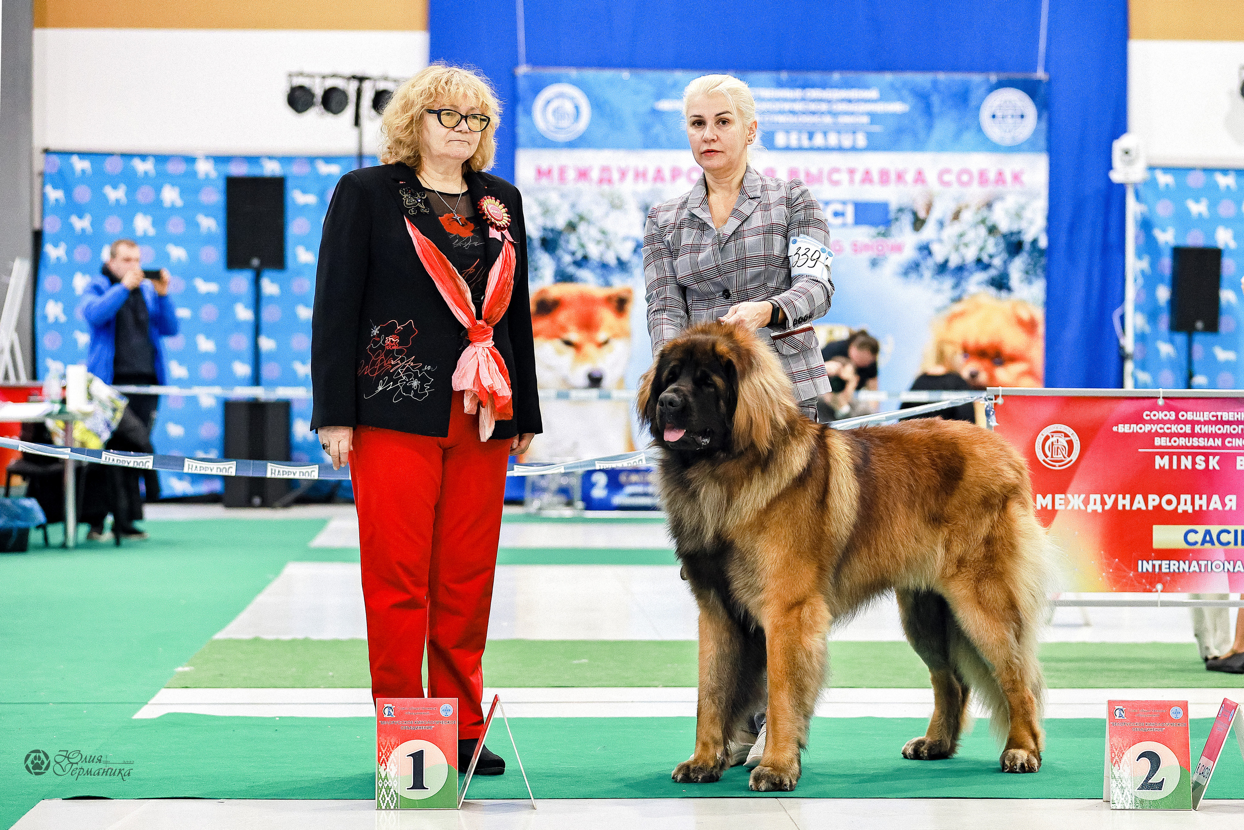 Минск 19-20.11.2022. Фотограф-анималист Юлия Германика
