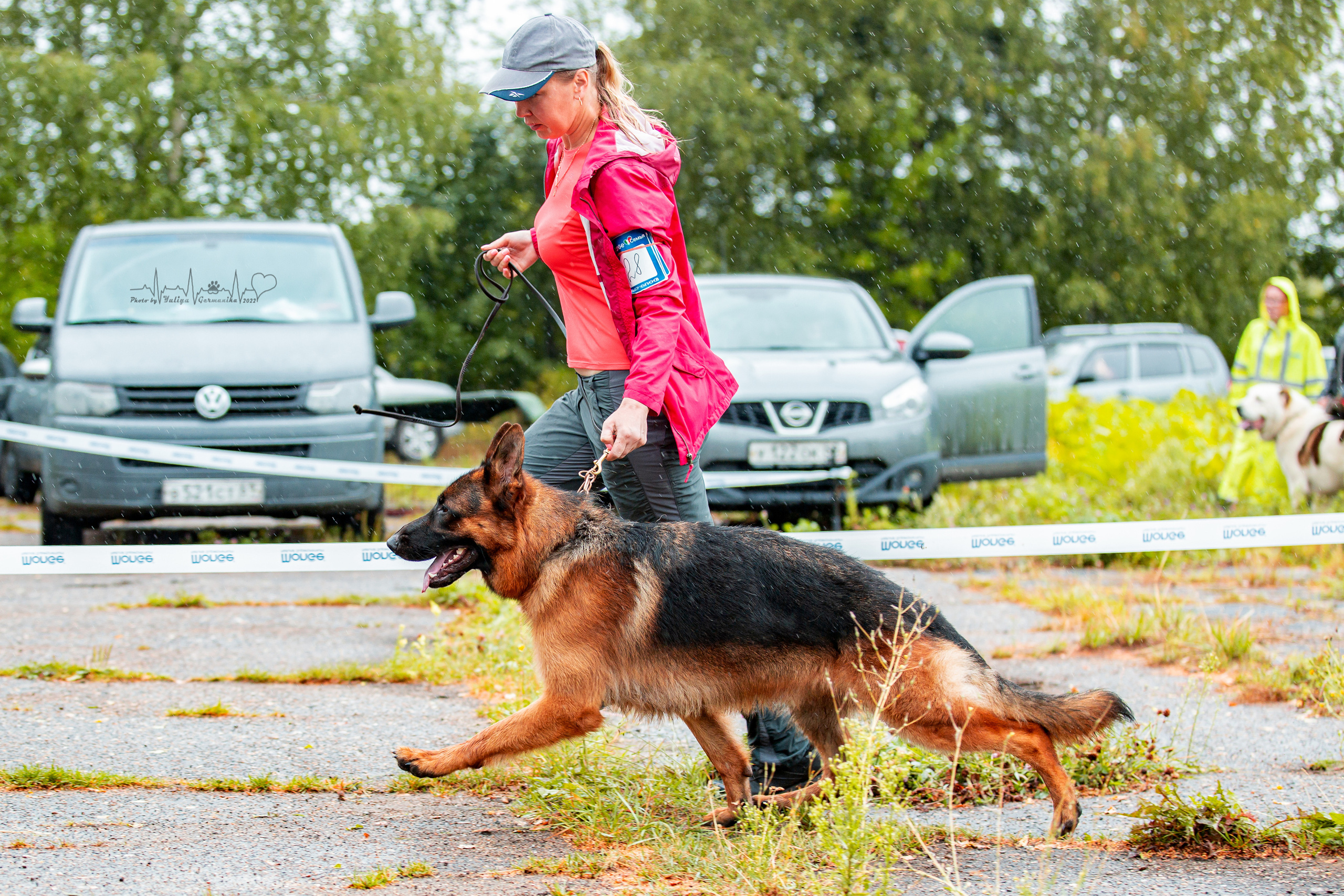 Ховрино 31.07,Чайна-Таун 6.08,Тверь 7.08. Фотограф-анималист Юлия Германика