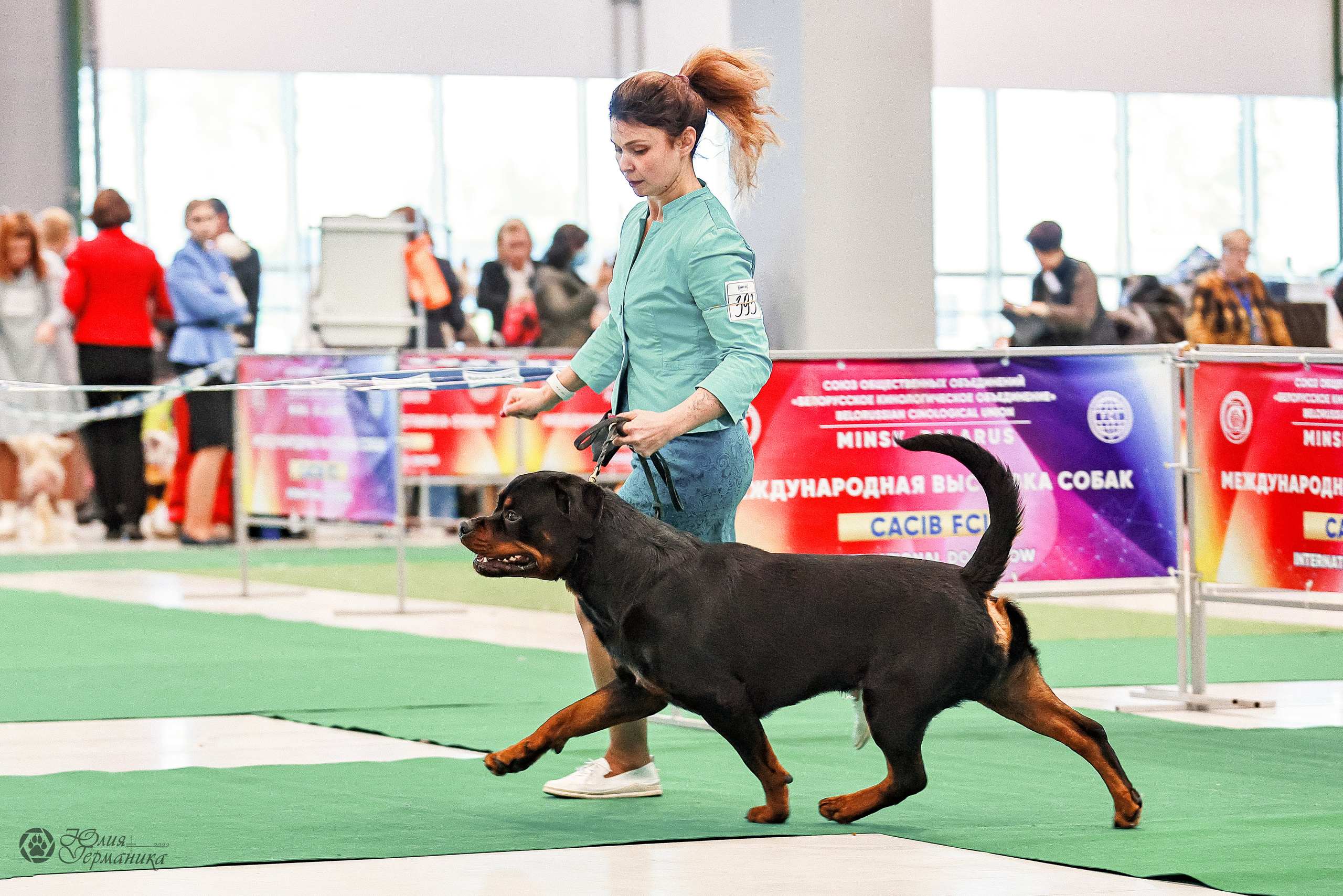 Минск 19-20.11.2022. Фотограф-анималист Юлия Германика
