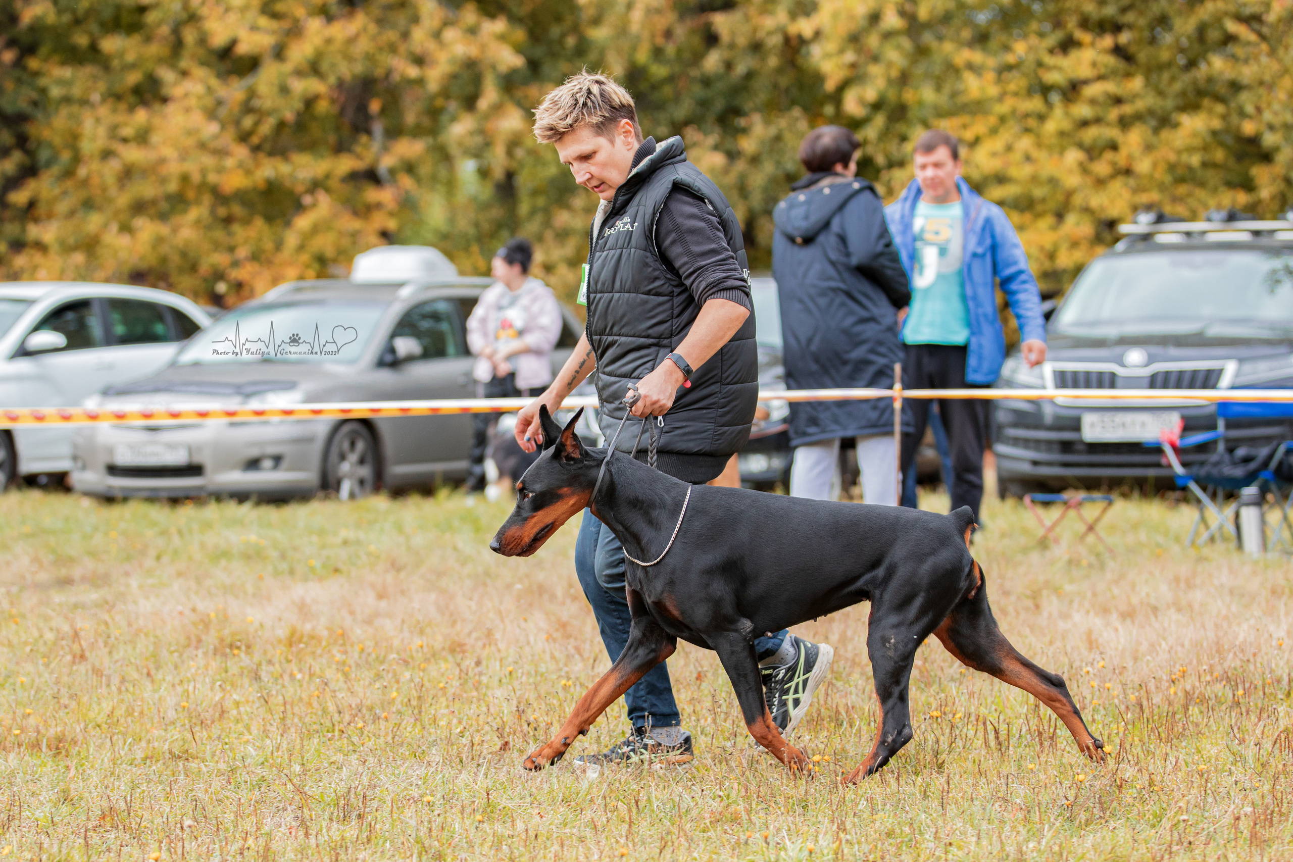 Пушкино ЧРКФ 17.09.2022. Фотограф-анималист Юлия Германика