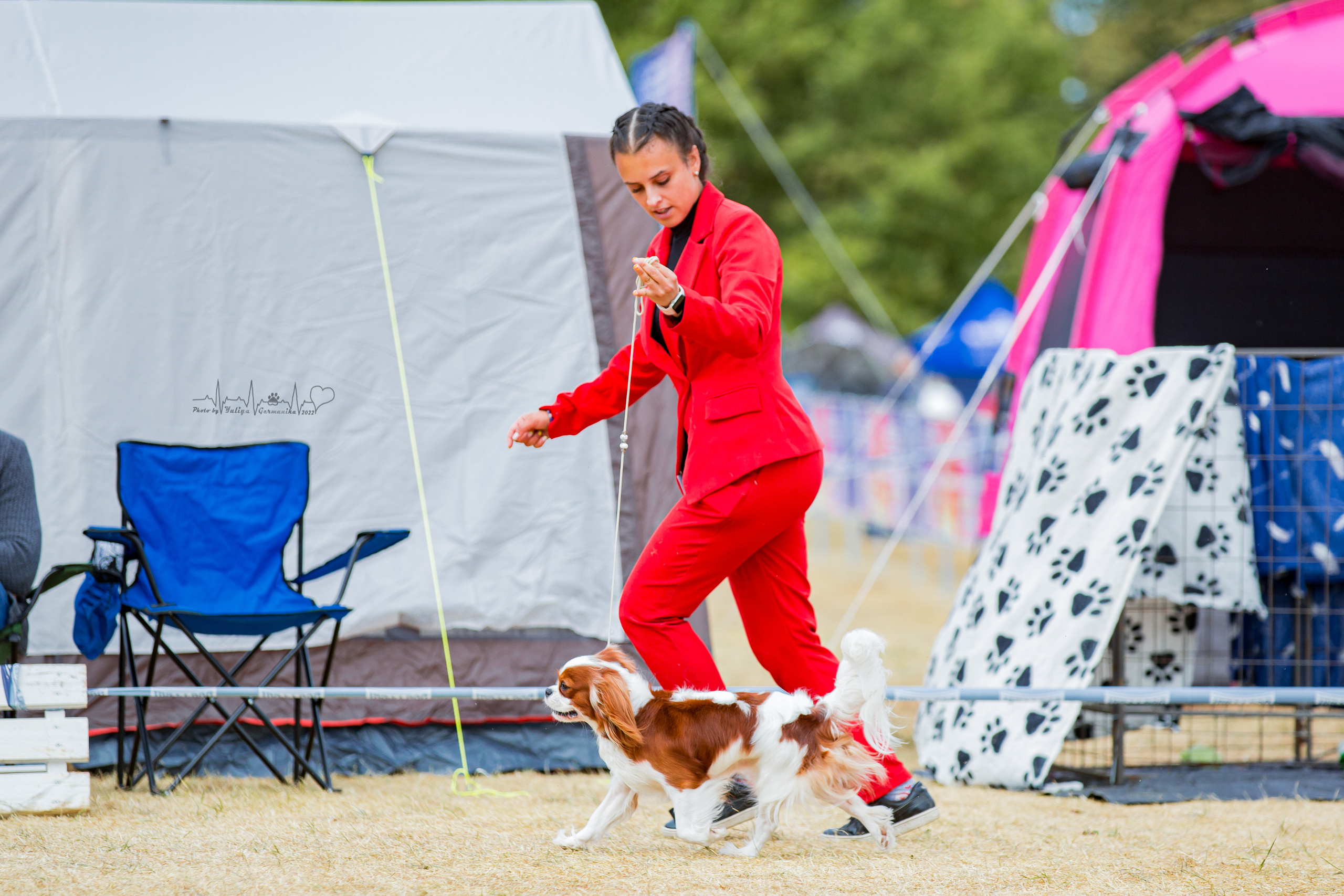 Минск 2хCACIB 3-4.09.2022. Фотограф-анималист Юлия Германика