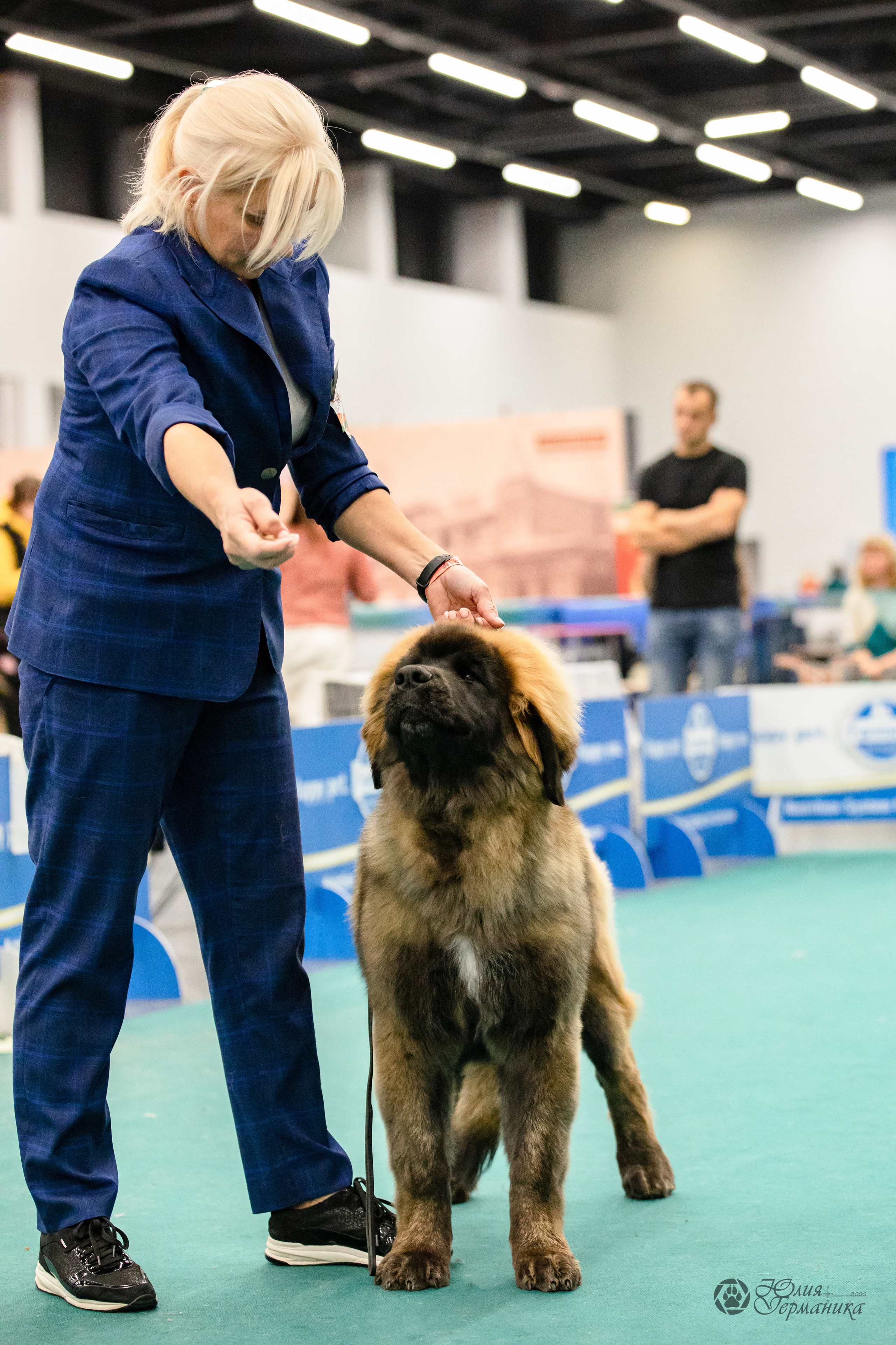 Нижний Новгород 15-16.10.2022. Фотограф-анималист Юлия Германика
