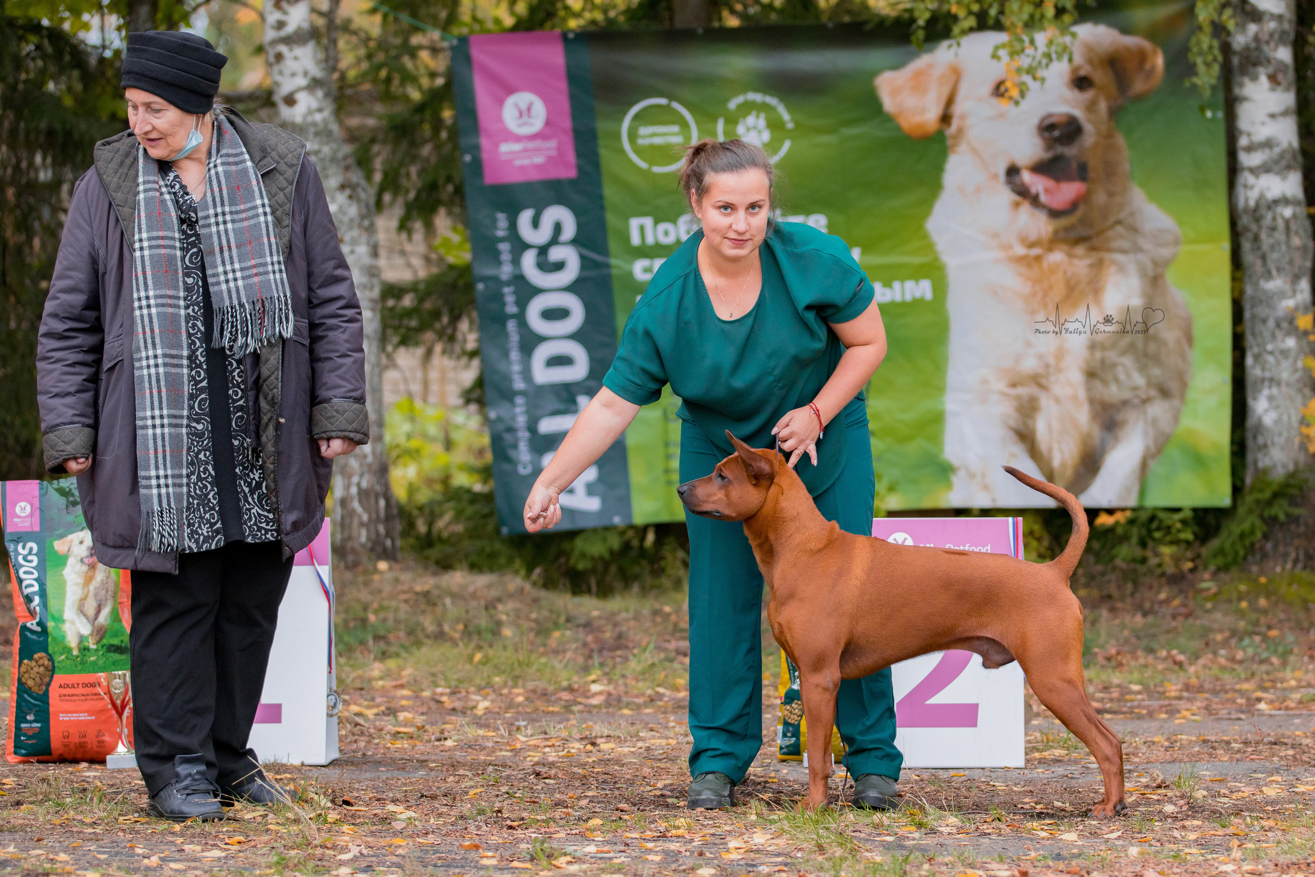 Тверь ЧРКФ 18.09.2022. Фотограф-анималист Юлия Германика