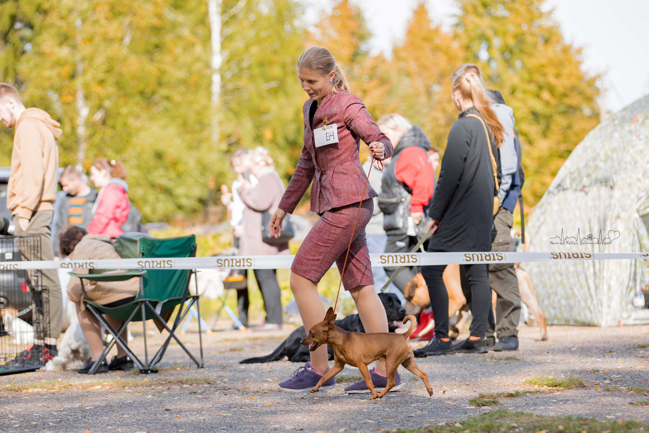 Тверь ЧРКФ 18.09.2022. Фотограф-анималист Юлия Германика