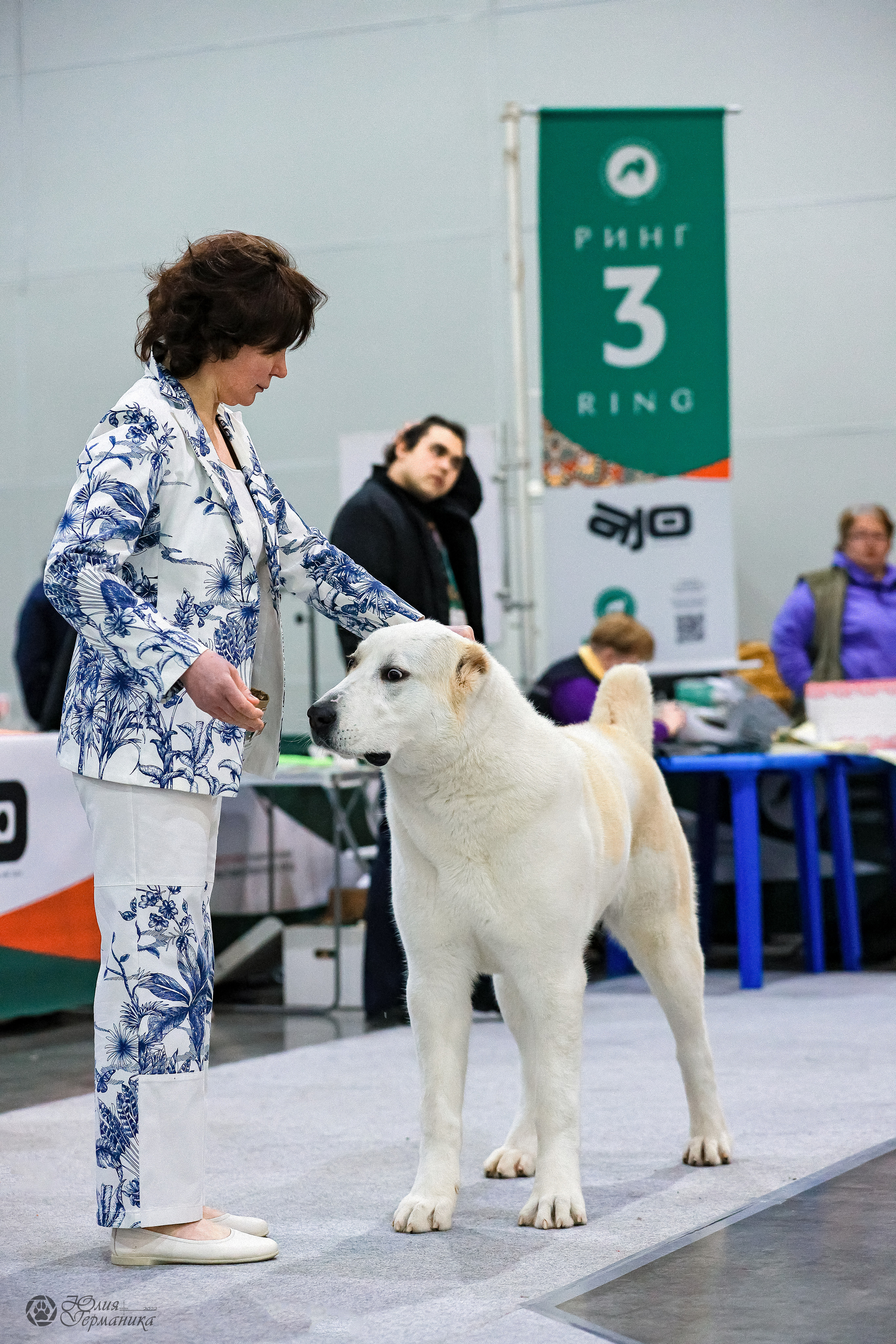 Россия 2020-2022 26-27.11.2022. Фотограф-анималист Юлия Германика