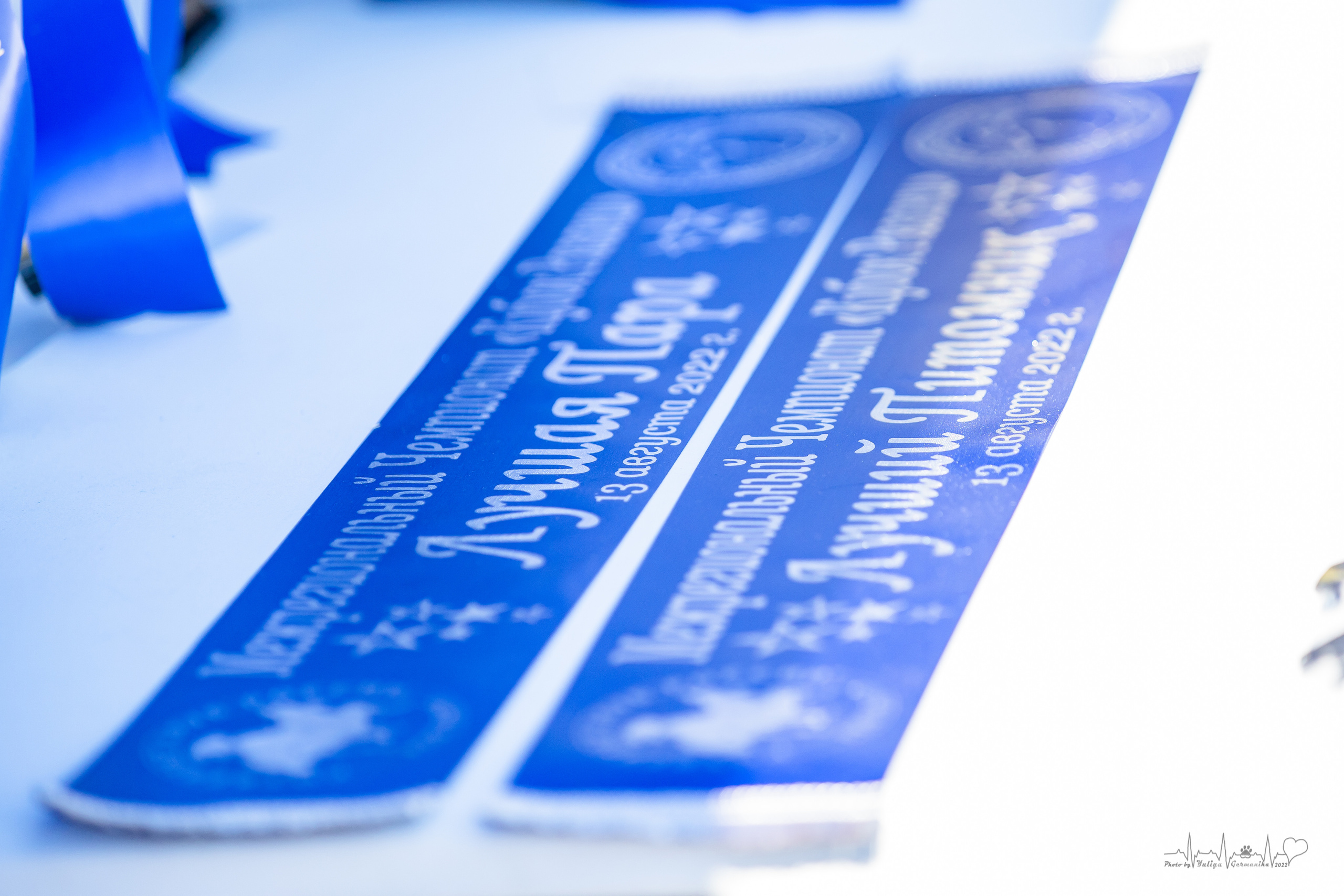 Рязань моно ротвейлеров 13.08.2022. Фотограф-анималист Юлия Германика