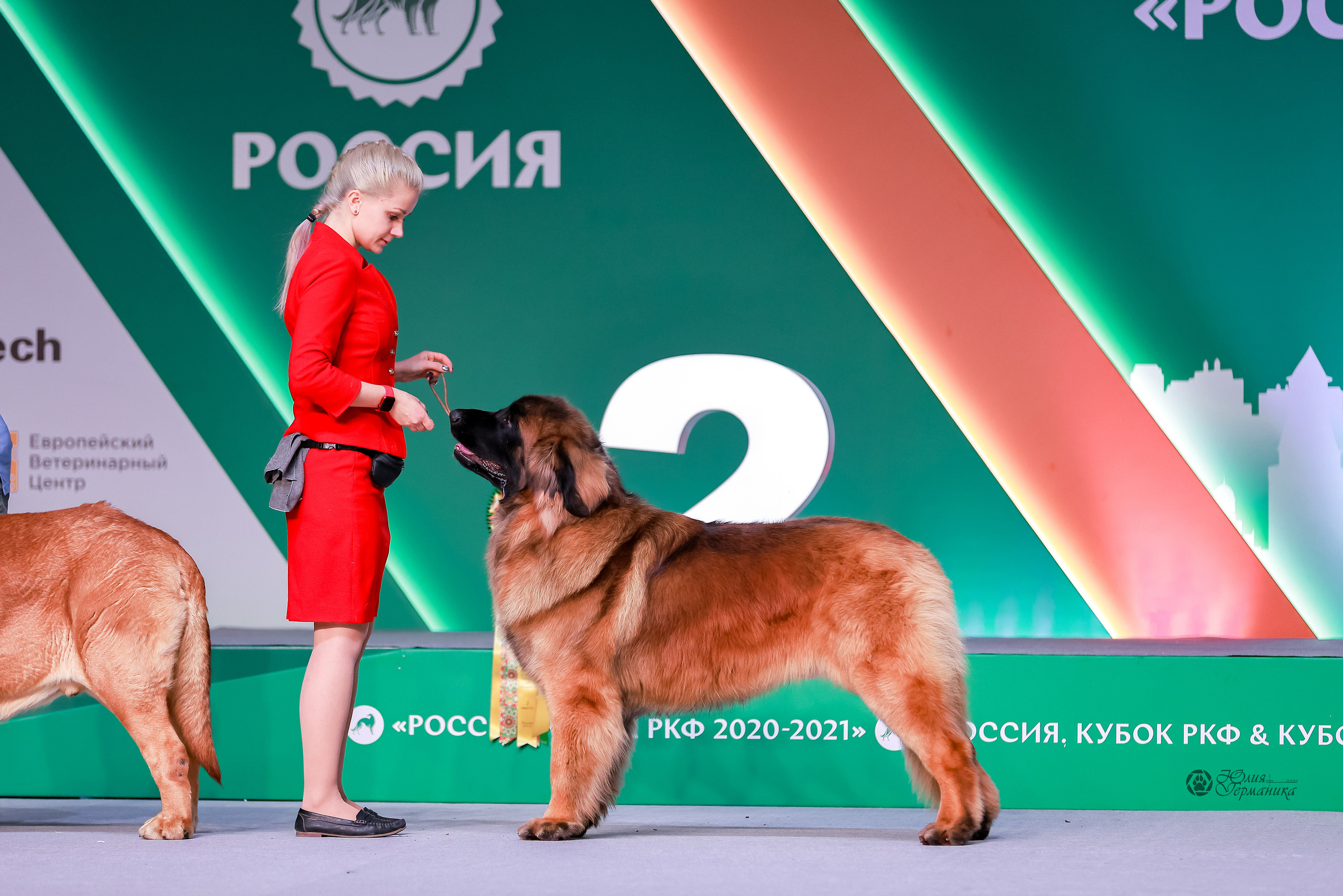 Россия 2020-2022 26-27.11.2022. Фотограф-анималист Юлия Германика