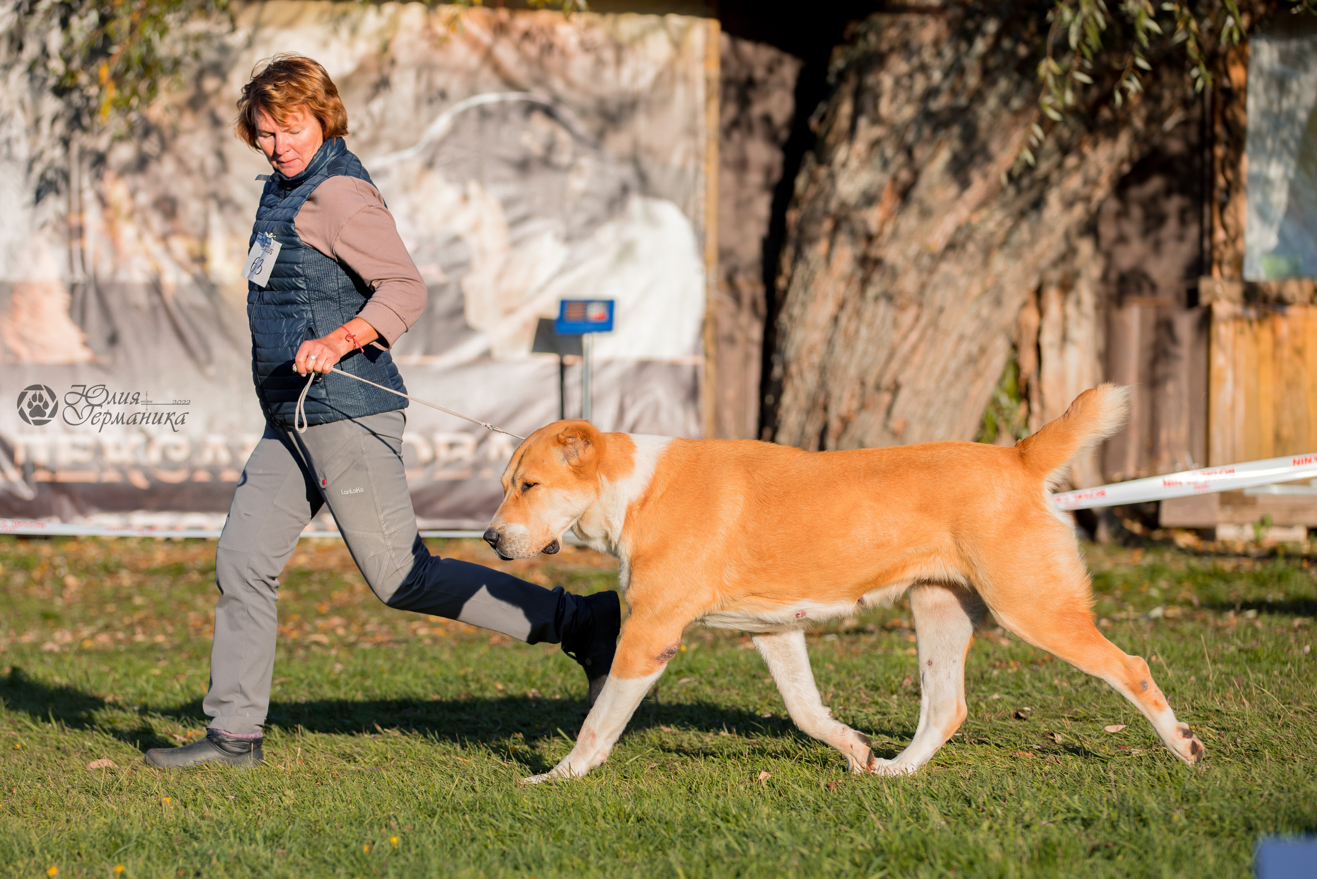 Александрова Слобода моно сао 2.10.2022. Фотограф-анималист Юлия Германика