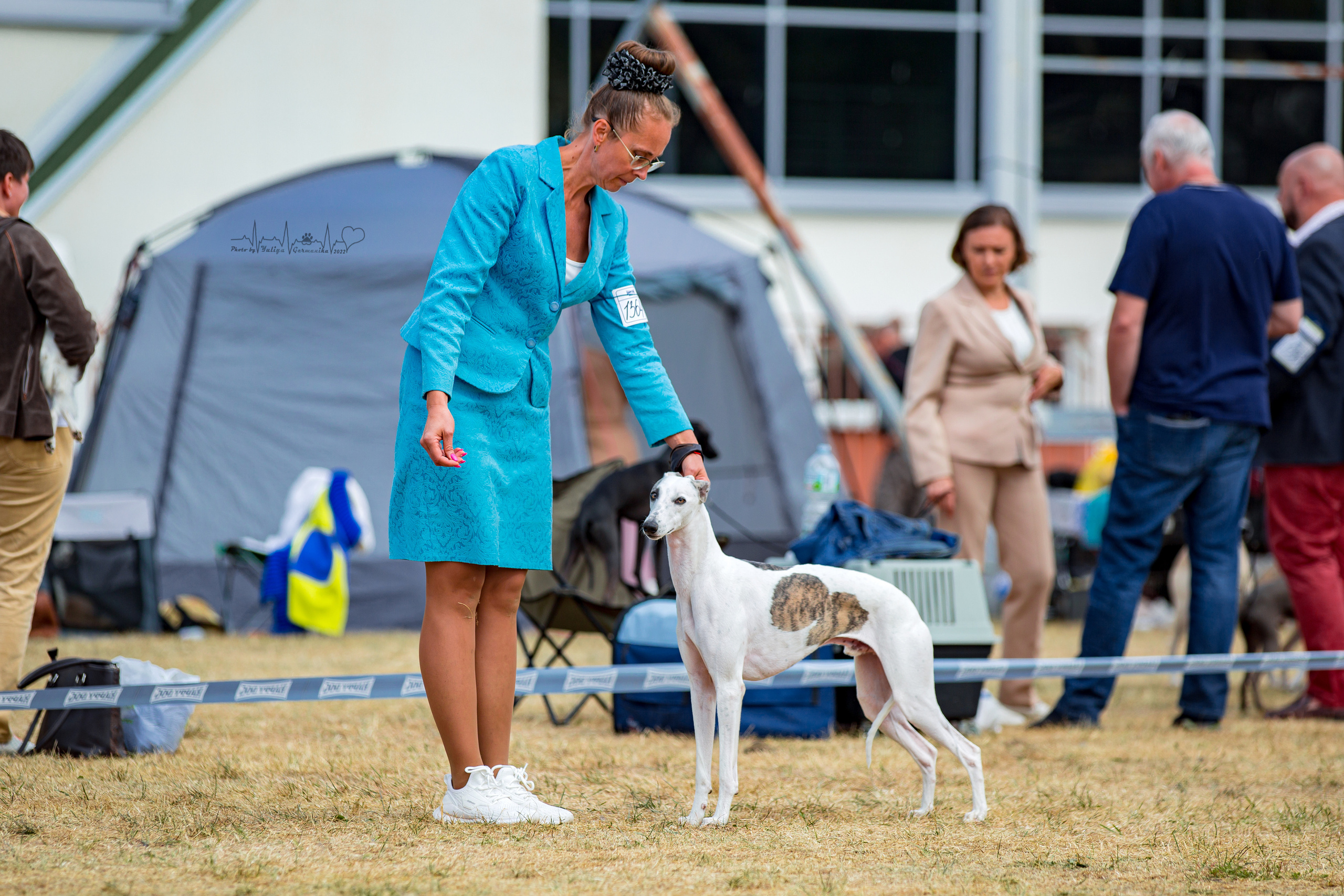 Минск 2хCACIB 3-4.09.2022. Фотограф-анималист Юлия Германика