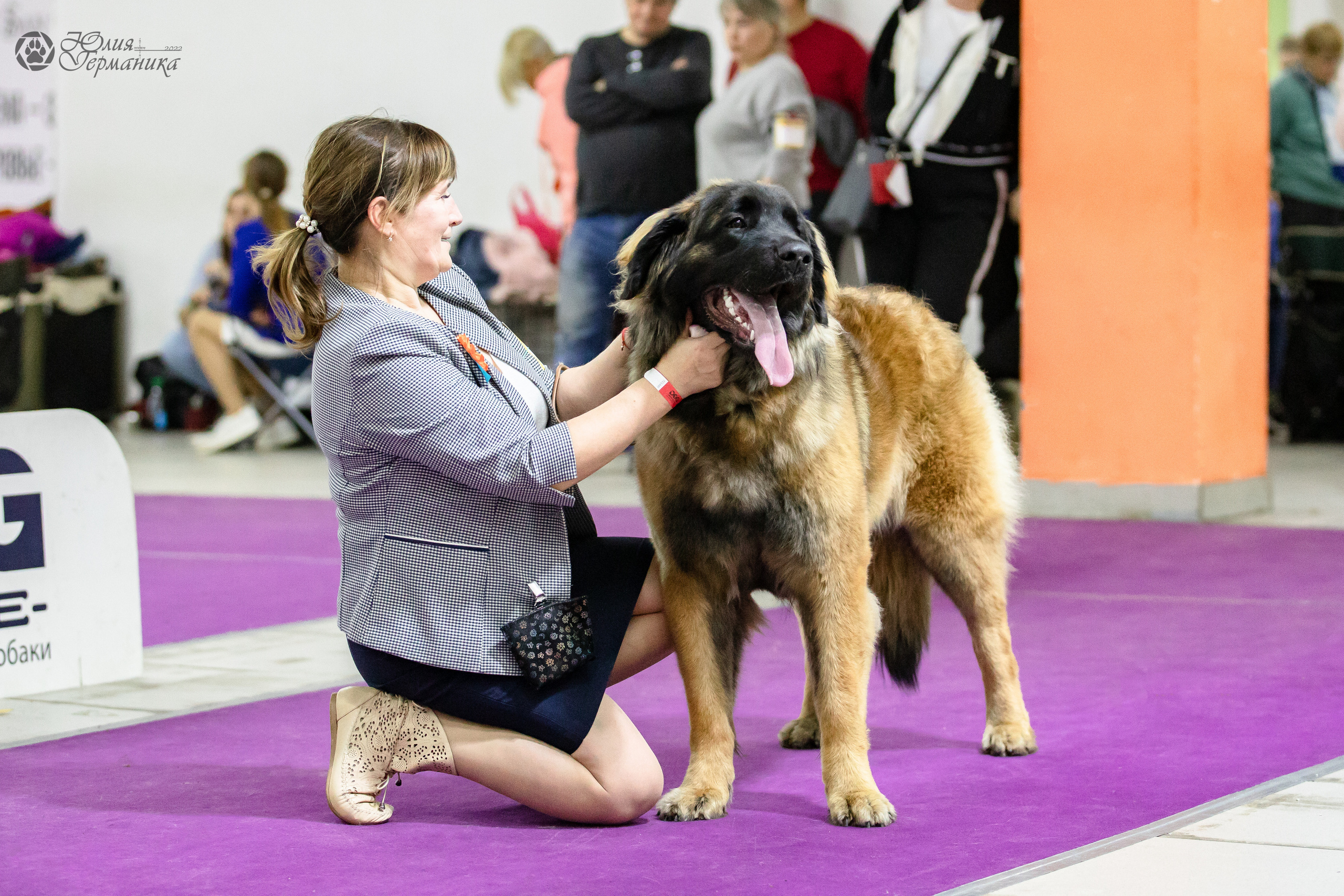 Чайна-Таун 29-30.10.2022. Фотограф-анималист Юлия Германика