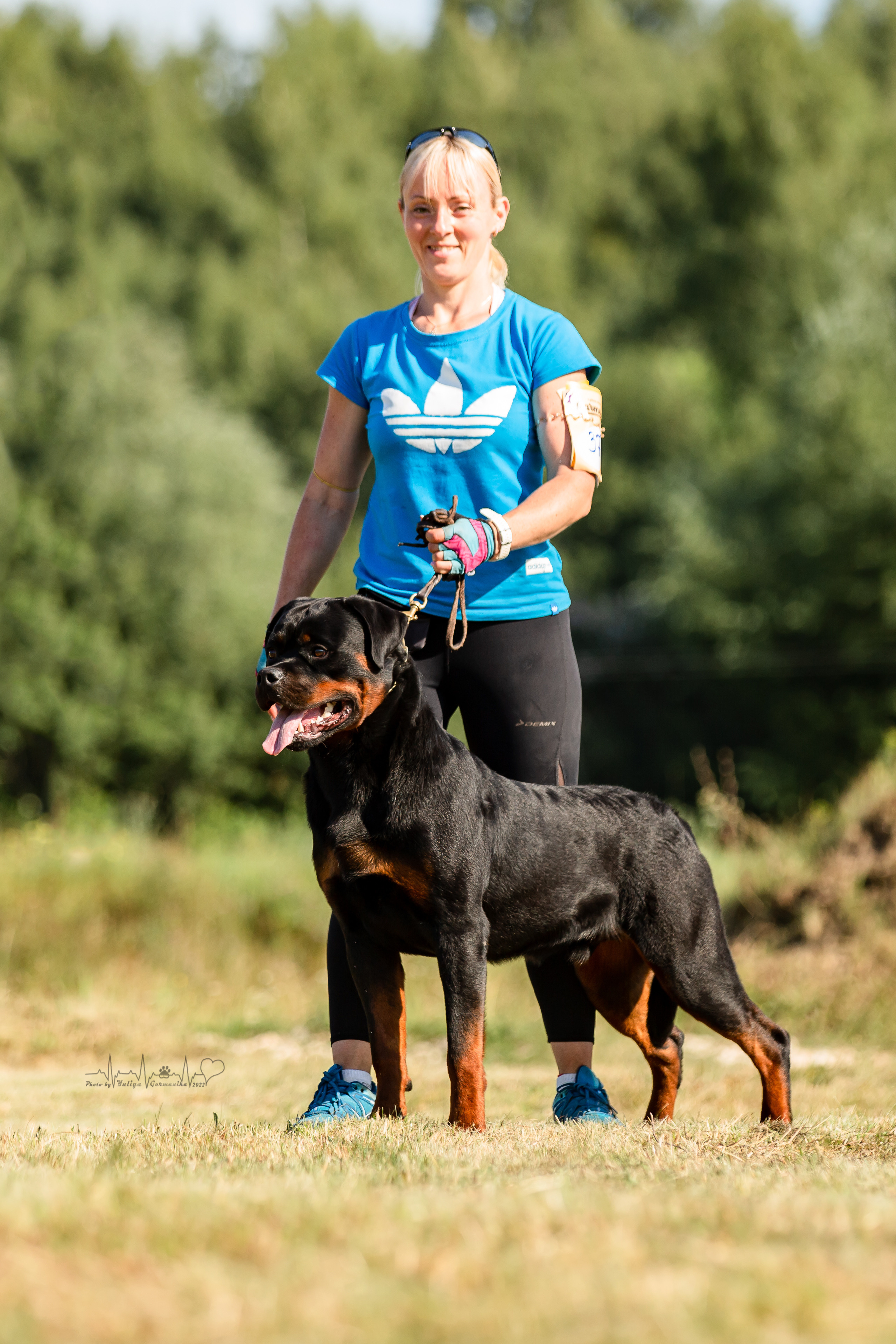 Рязань моно ротвейлеров 13.08.2022. Фотограф-анималист Юлия Германика