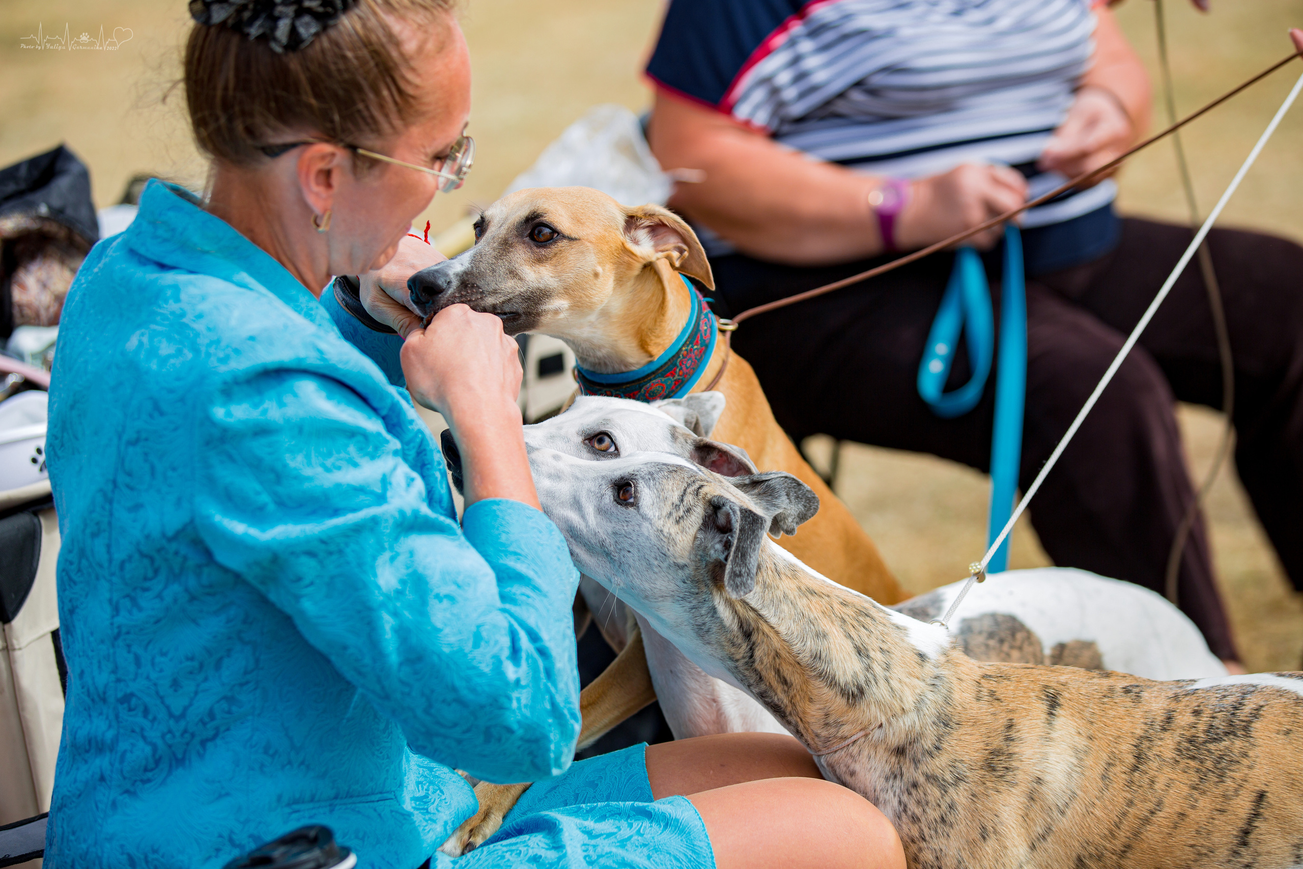 Минск 2хCACIB 3-4.09.2022. Фотограф-анималист Юлия Германика