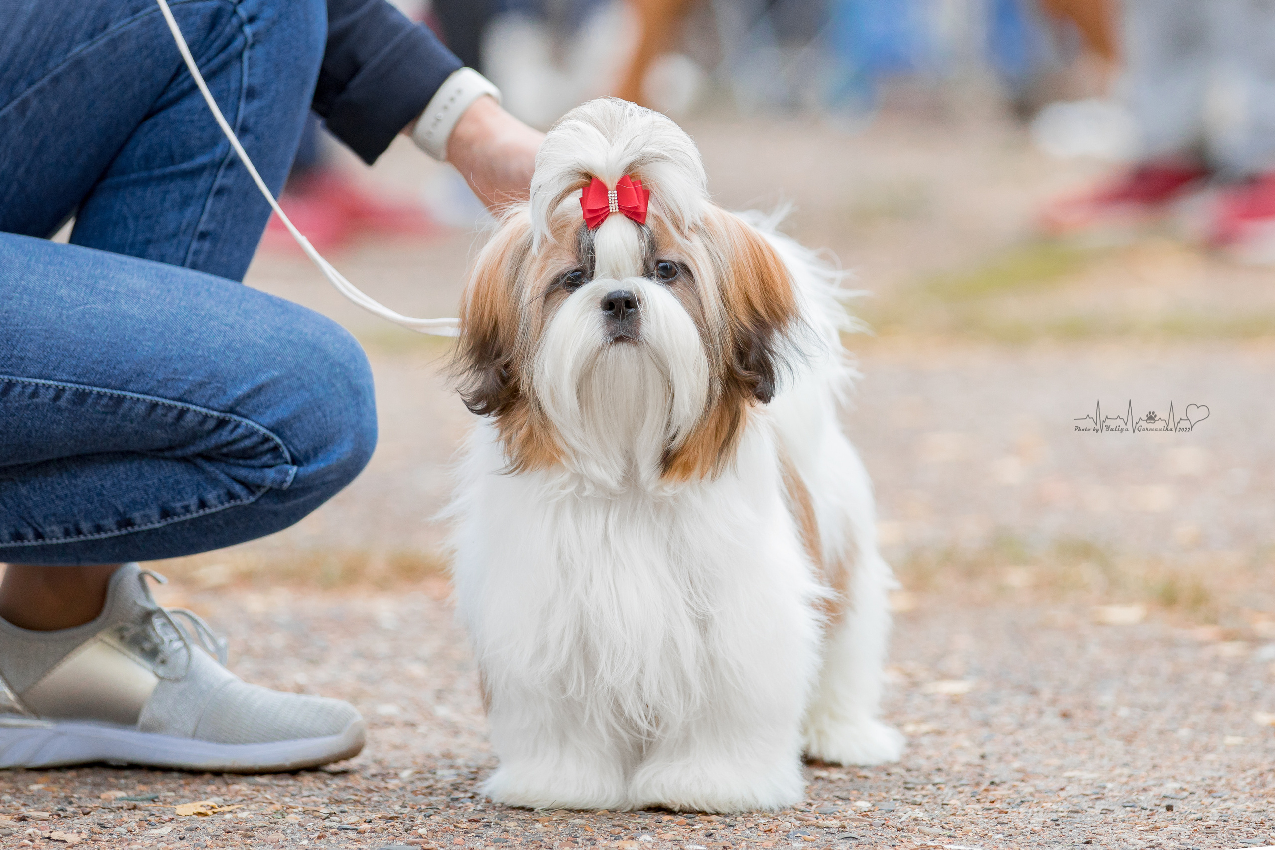 Тверь ЧРКФ 18.09.2022
