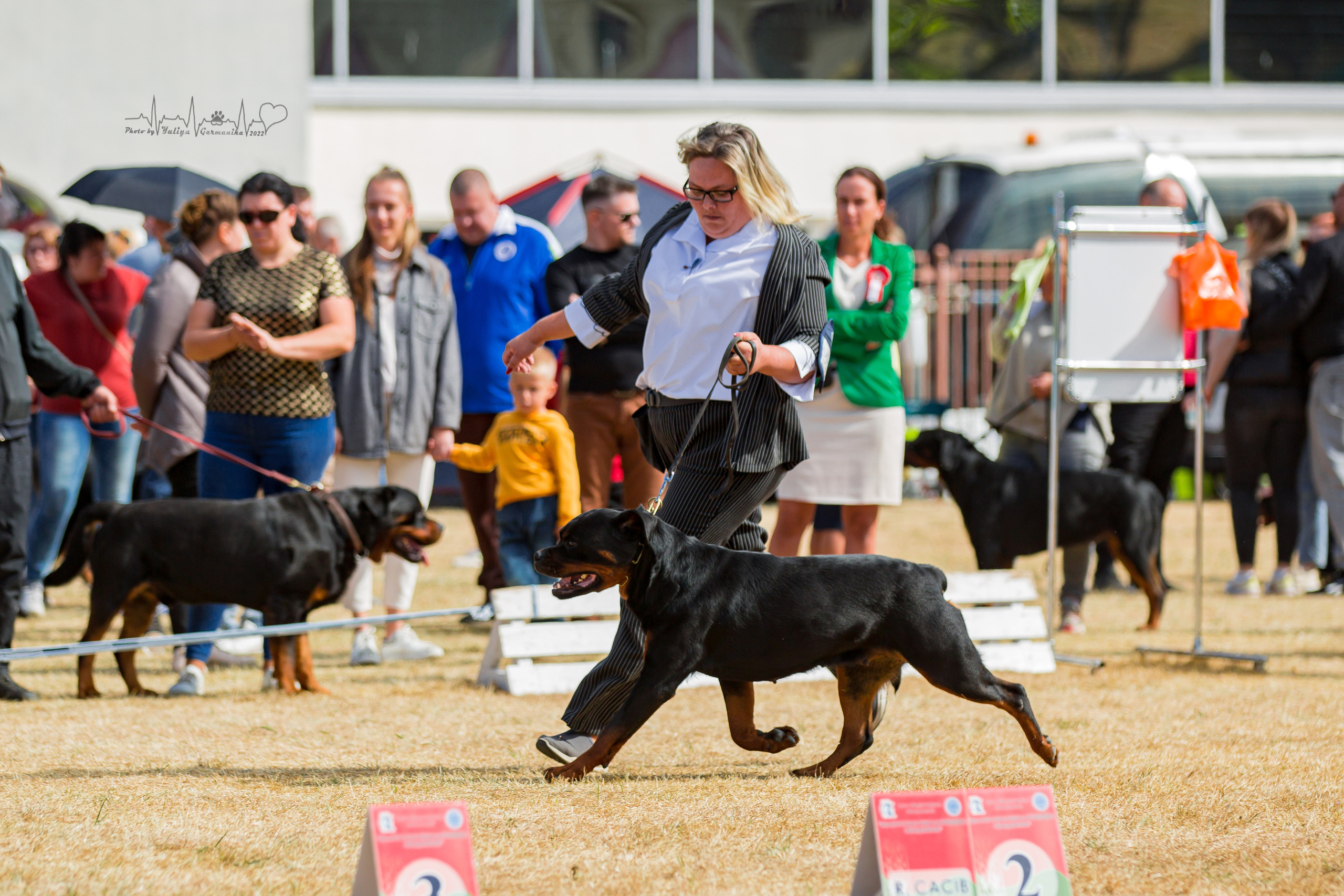 Минск 2хCACIB 3-4.09.2022. Фотограф-анималист Юлия Германика