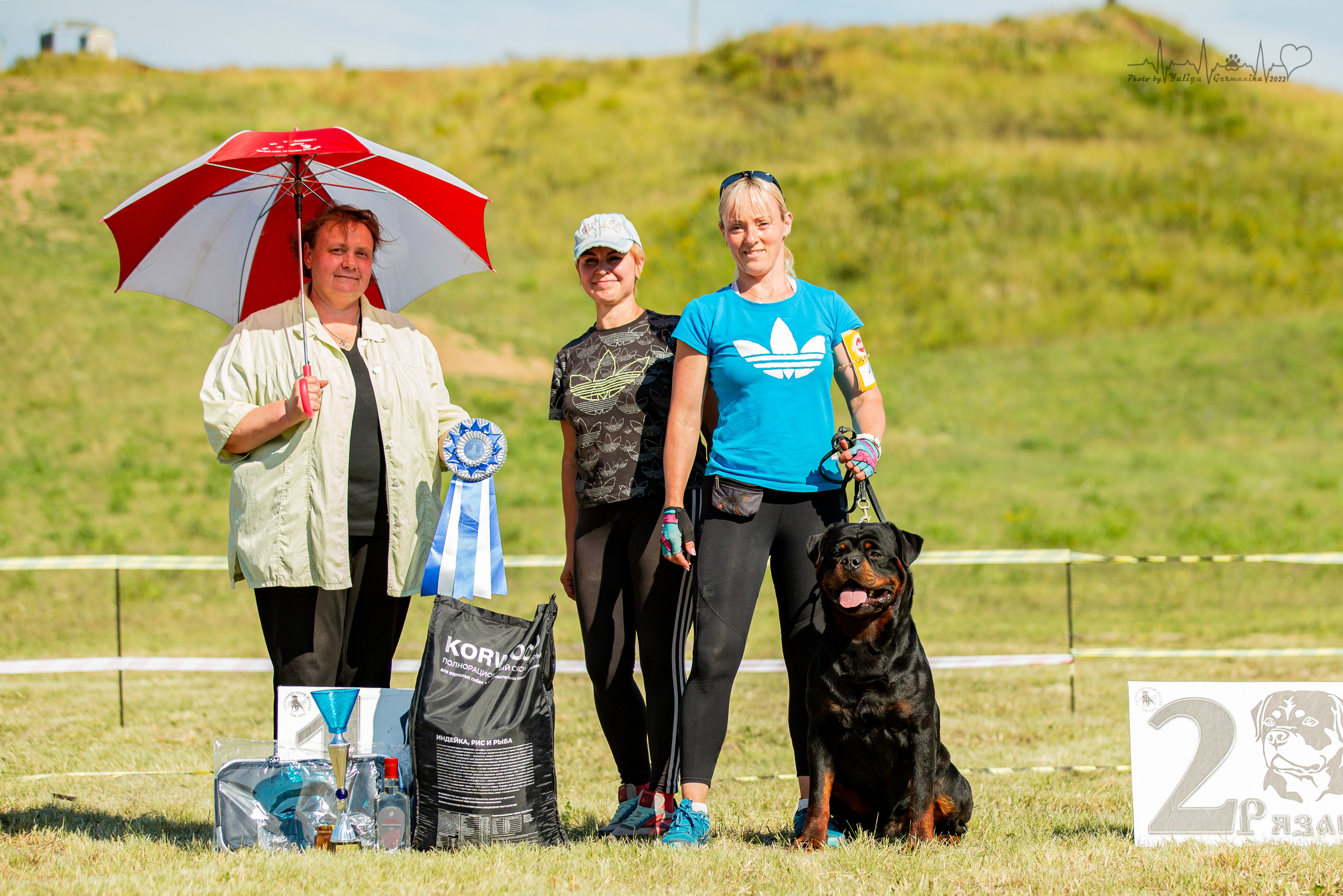 Рязань моно ротвейлеров 13.08.2022. Фотограф-анималист Юлия Германика