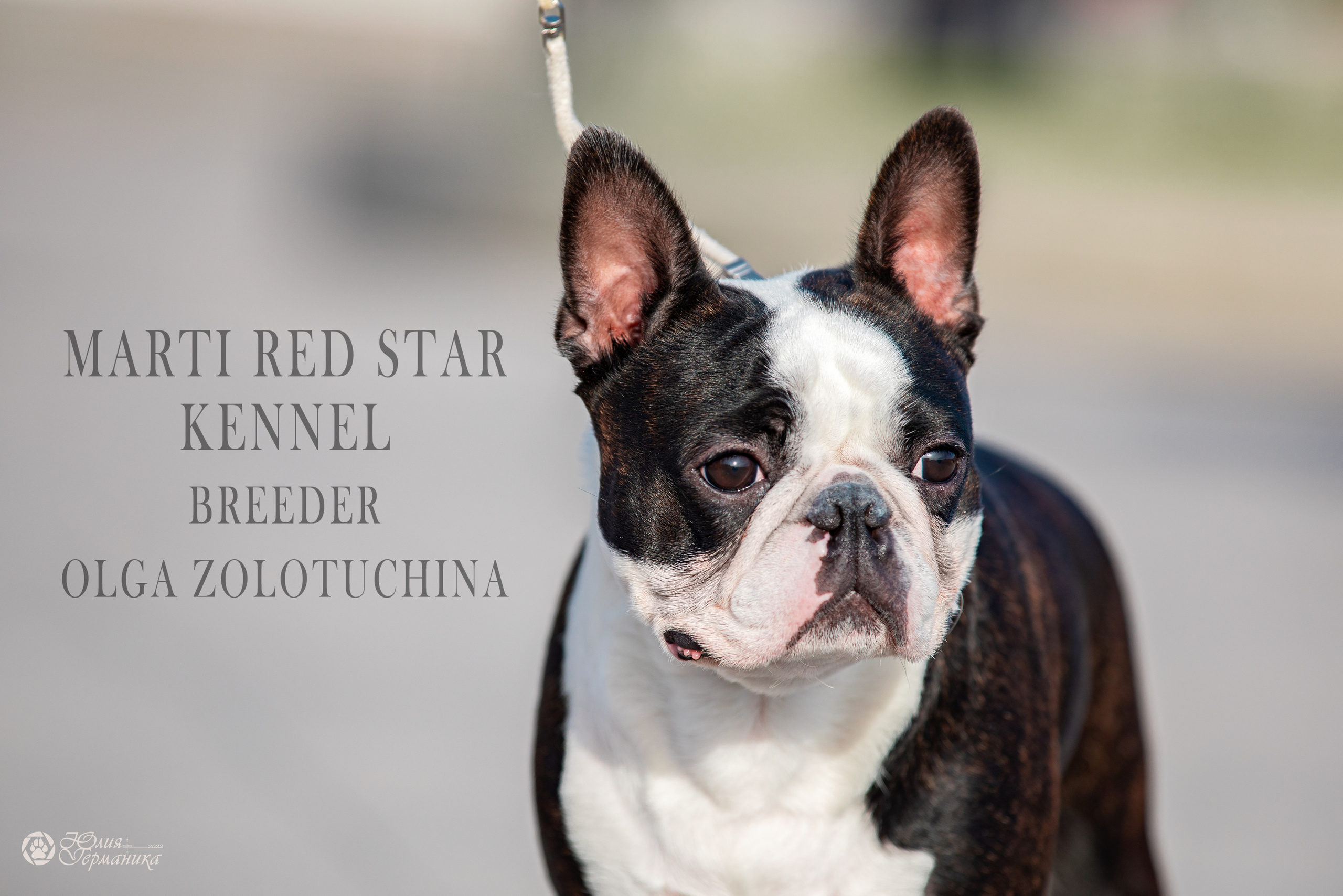 Нижний Новгород 15-16.10.2022. Фотограф-анималист Юлия Германика