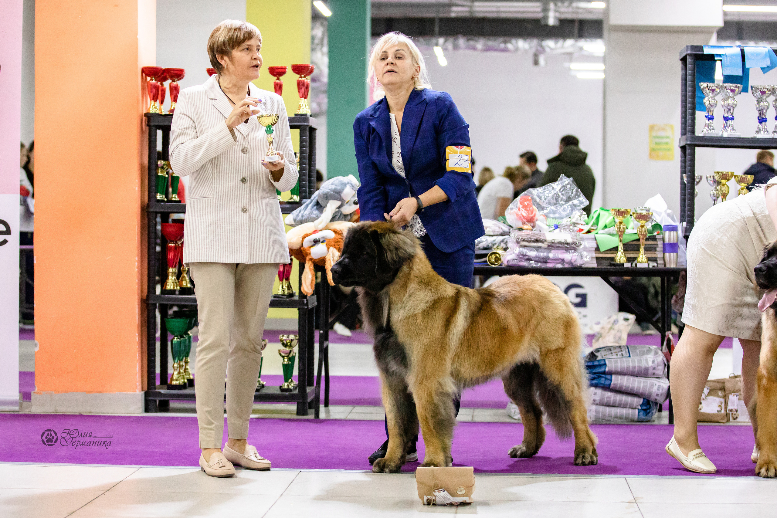 Чайна-Таун 29-30.10.2022. Фотограф-анималист Юлия Германика