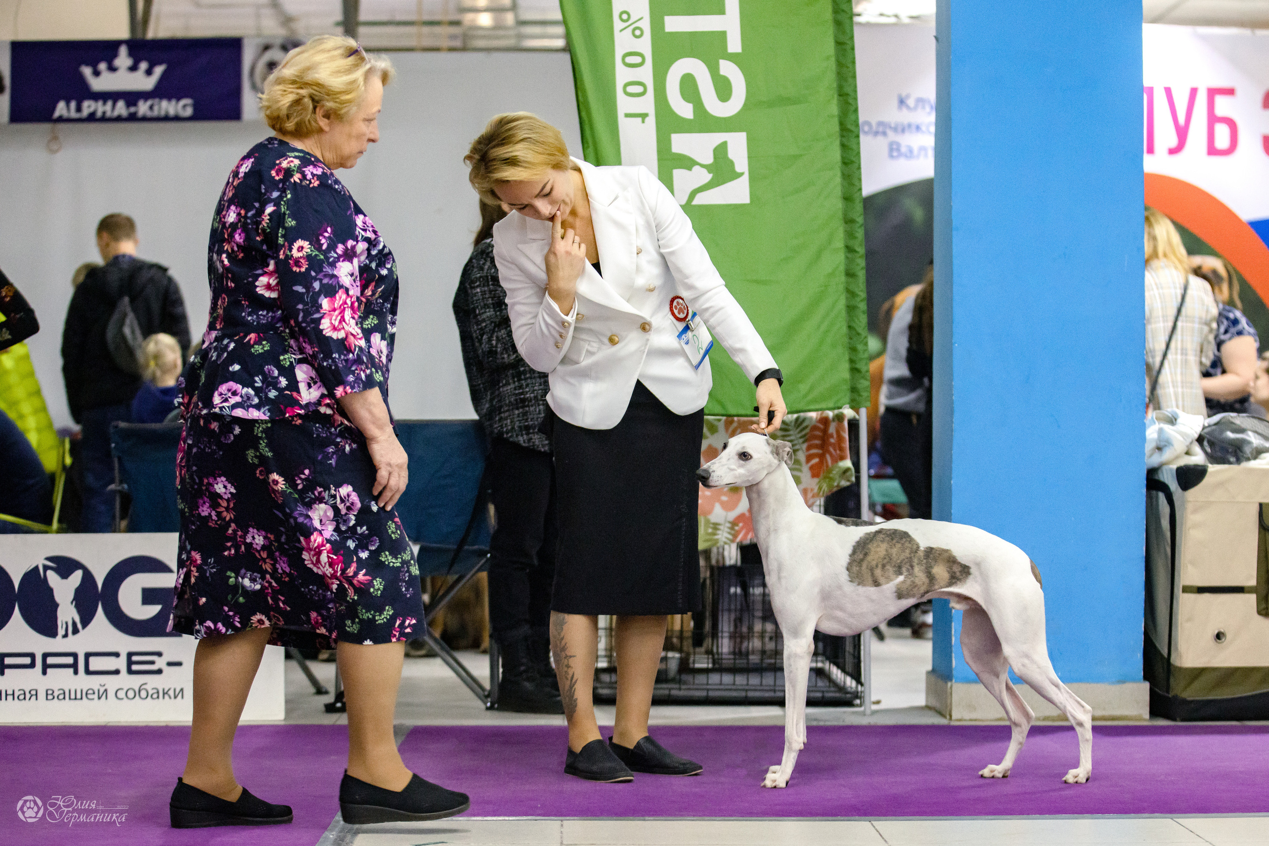Чайна-Таун 3 и 12.11.2022. Фотограф-анималист Юлия Германика