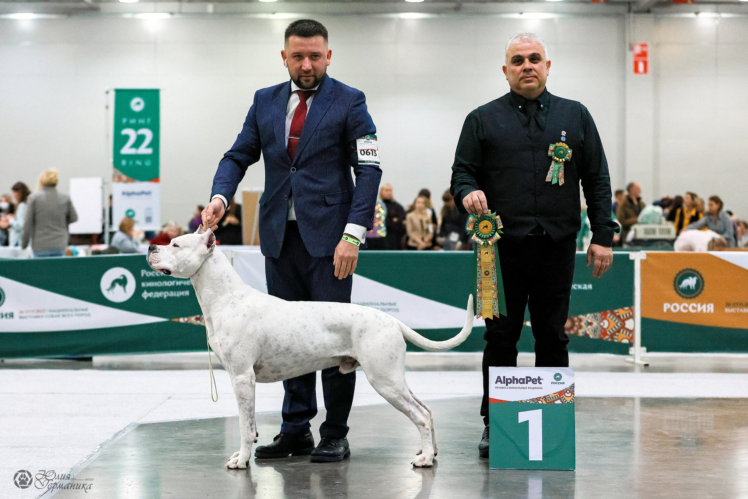 Россия 2020-2022 26-27.11.2022. Фотограф-анималист Юлия Германика