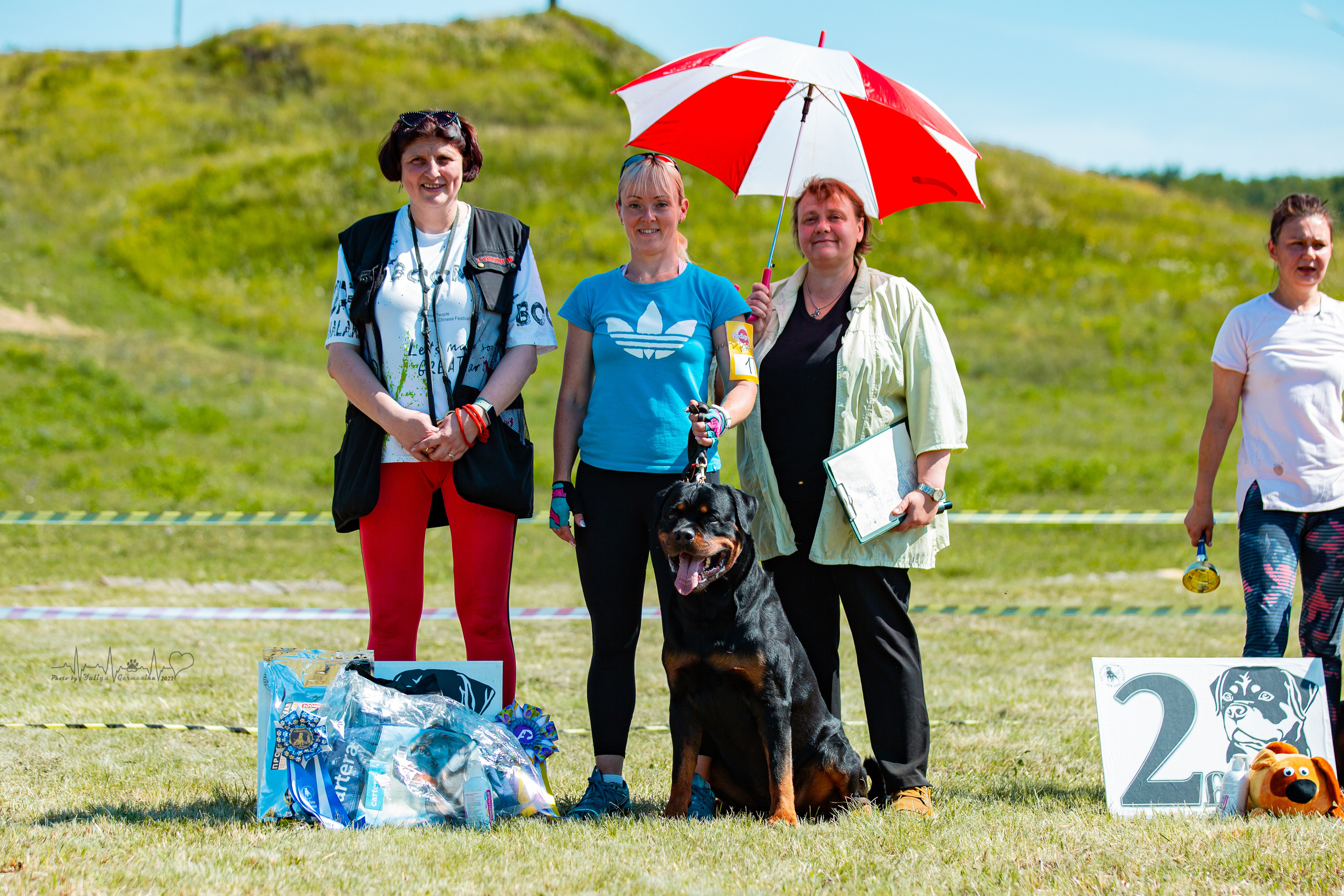 Рязань моно ротвейлеров 13.08.2022. Фотограф-анималист Юлия Германика