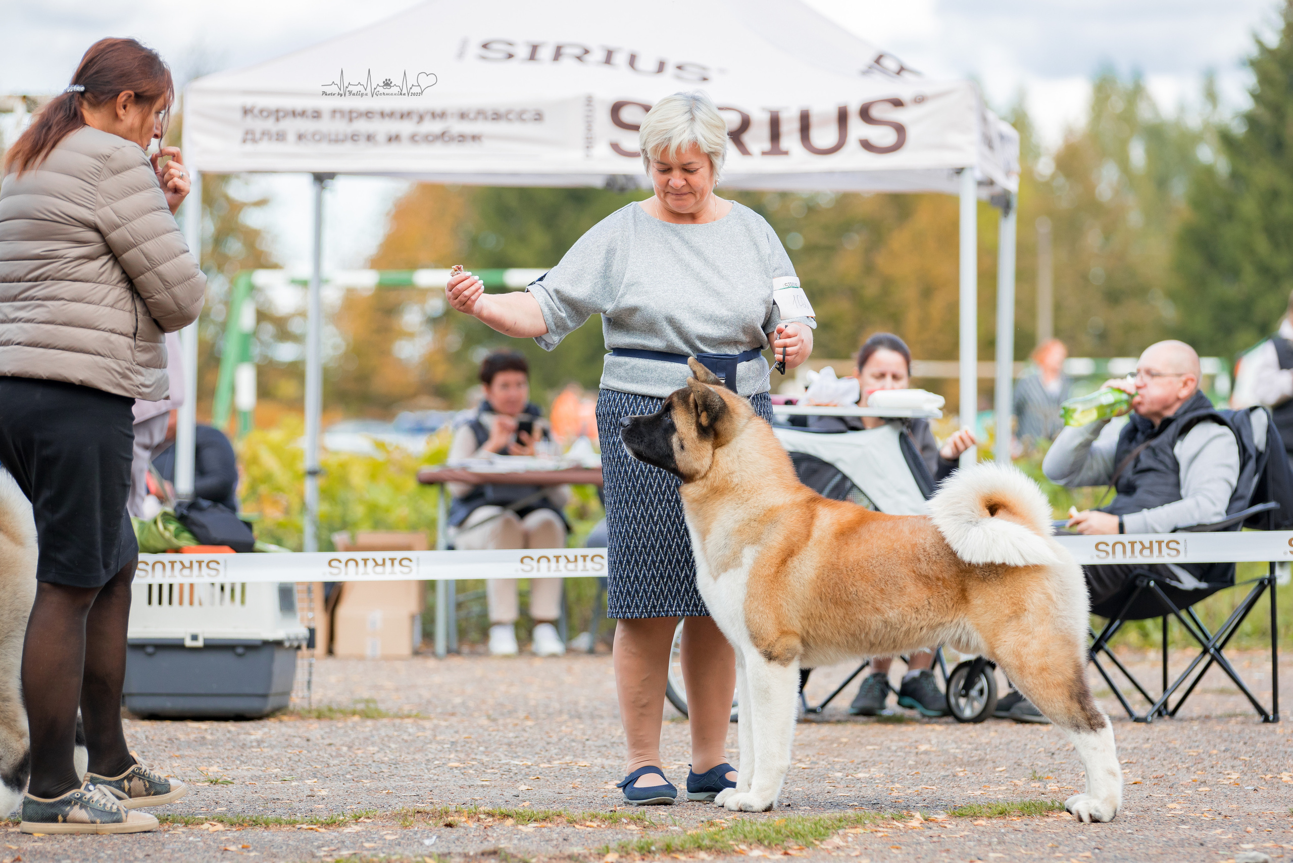 Тверь ЧРКФ 18.09.2022. Фотограф-анималист Юлия Германика