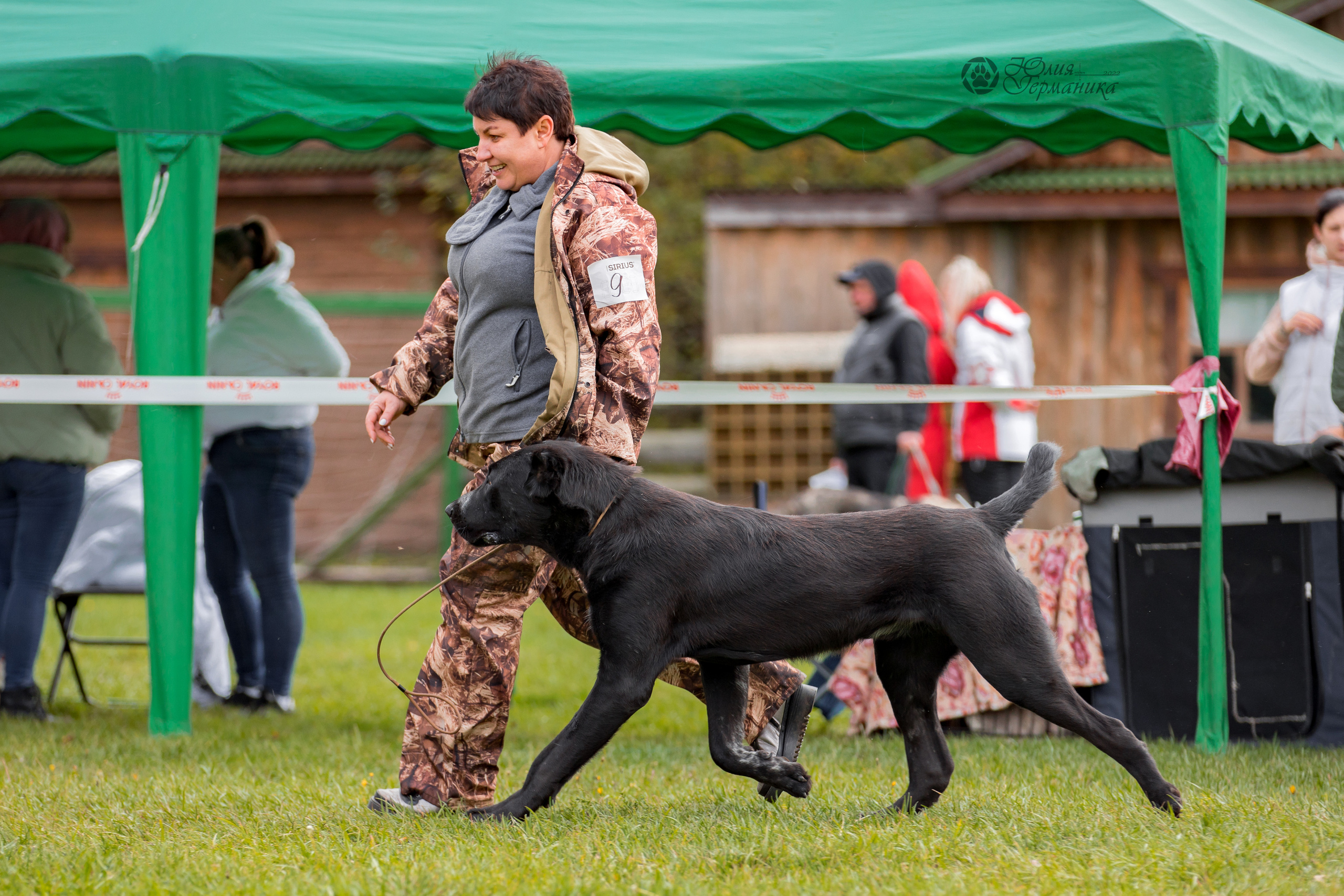 Александрова Слобода моно сао 2.10.2022. Фотограф-анималист Юлия Германика