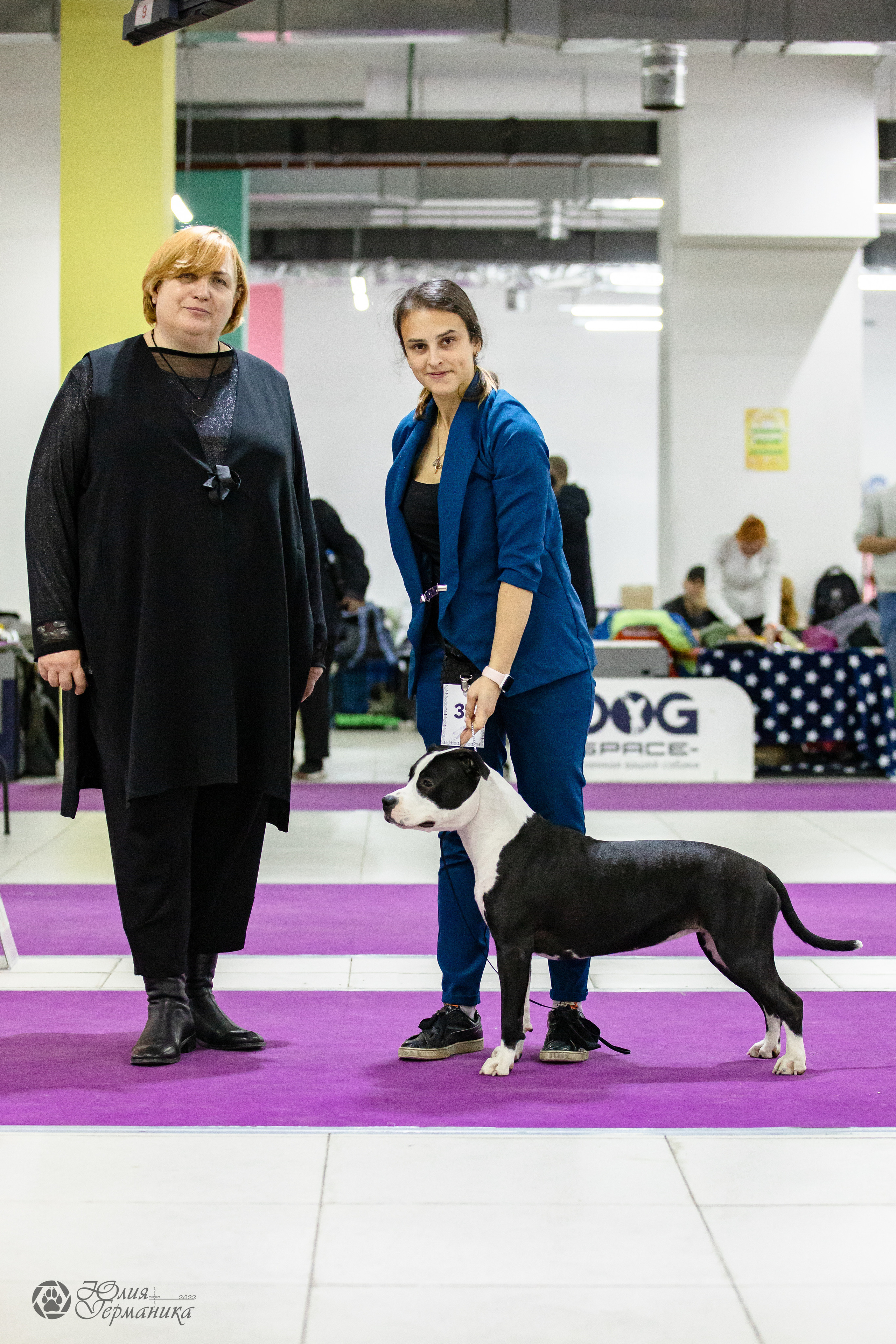 Чайна-Таун 29-30.10.2022. Фотограф-анималист Юлия Германика