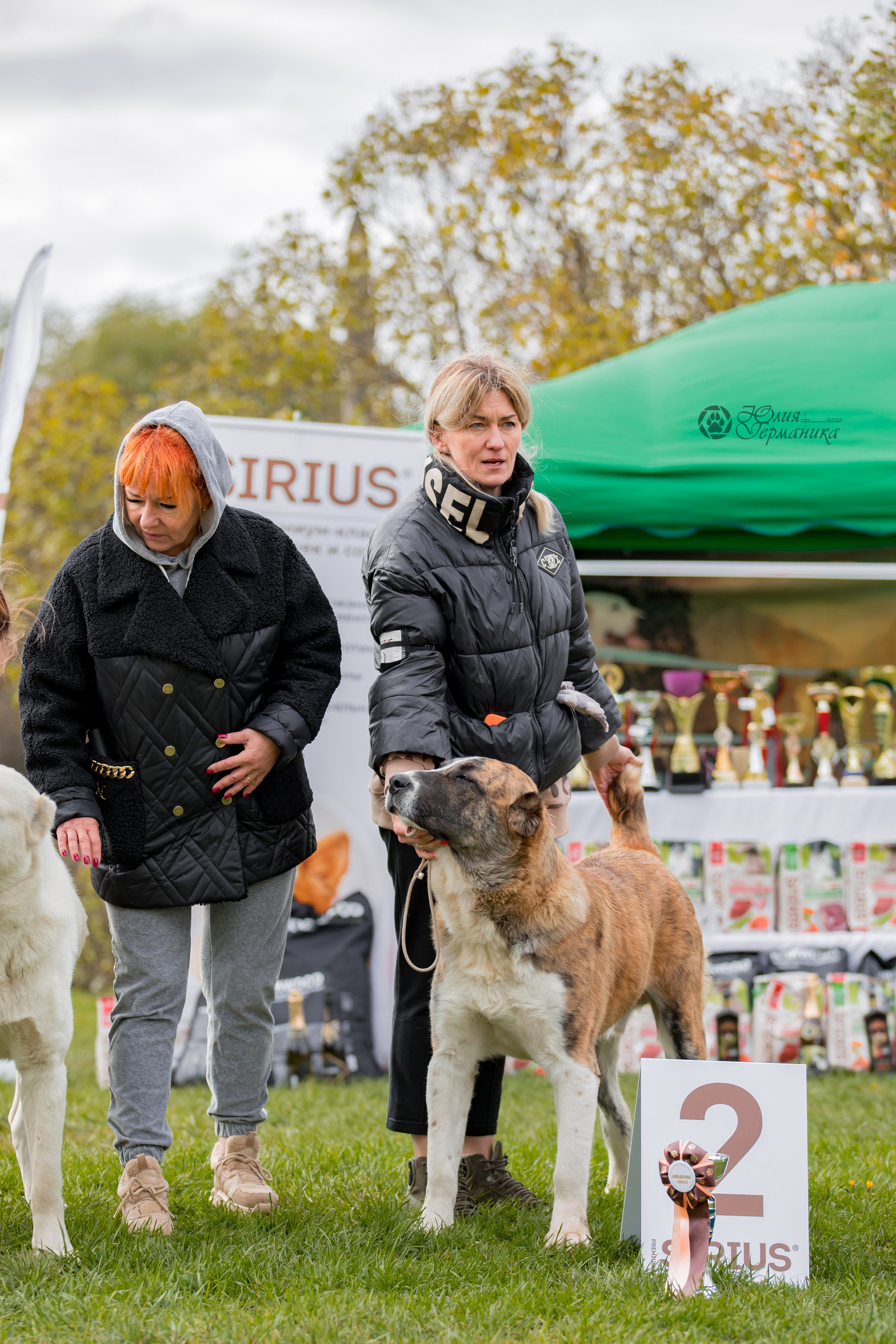 Александрова Слобода моно сао 2.10.2022. Фотограф-анималист Юлия Германика
