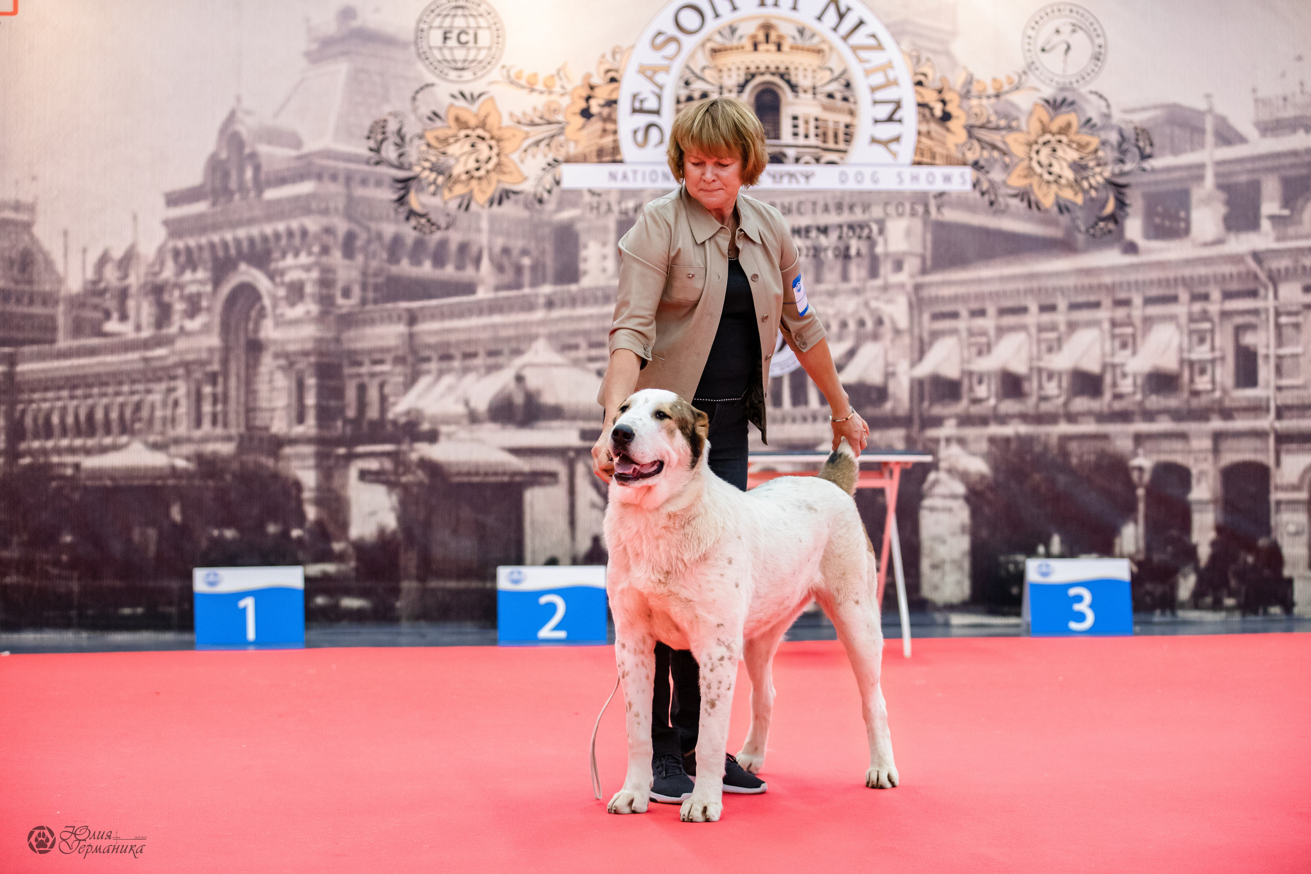 Нижний Новгород 15-16.10.2022. Фотограф-анималист Юлия Германика