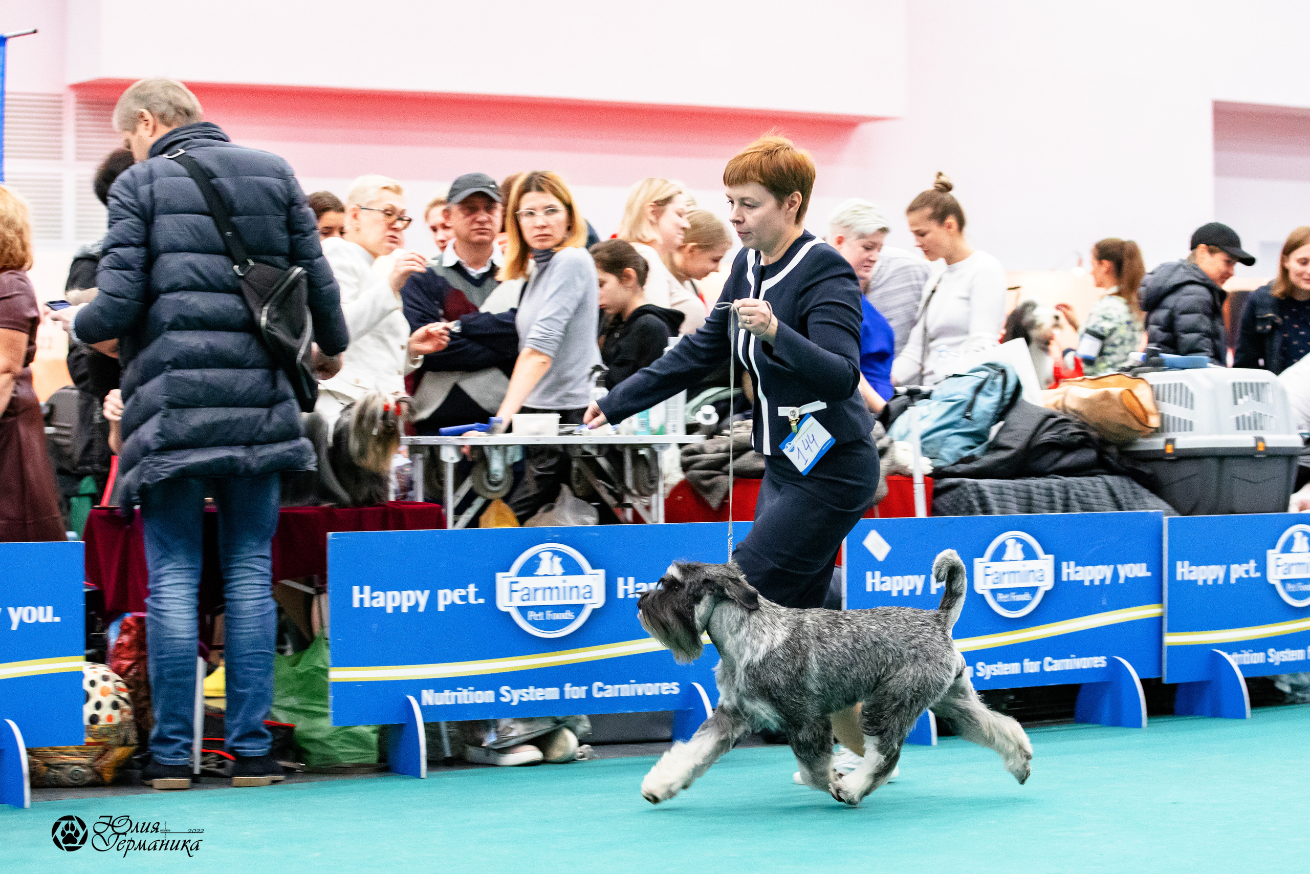 Нижний Новгород 15-16.10.2022. Фотограф-анималист Юлия Германика