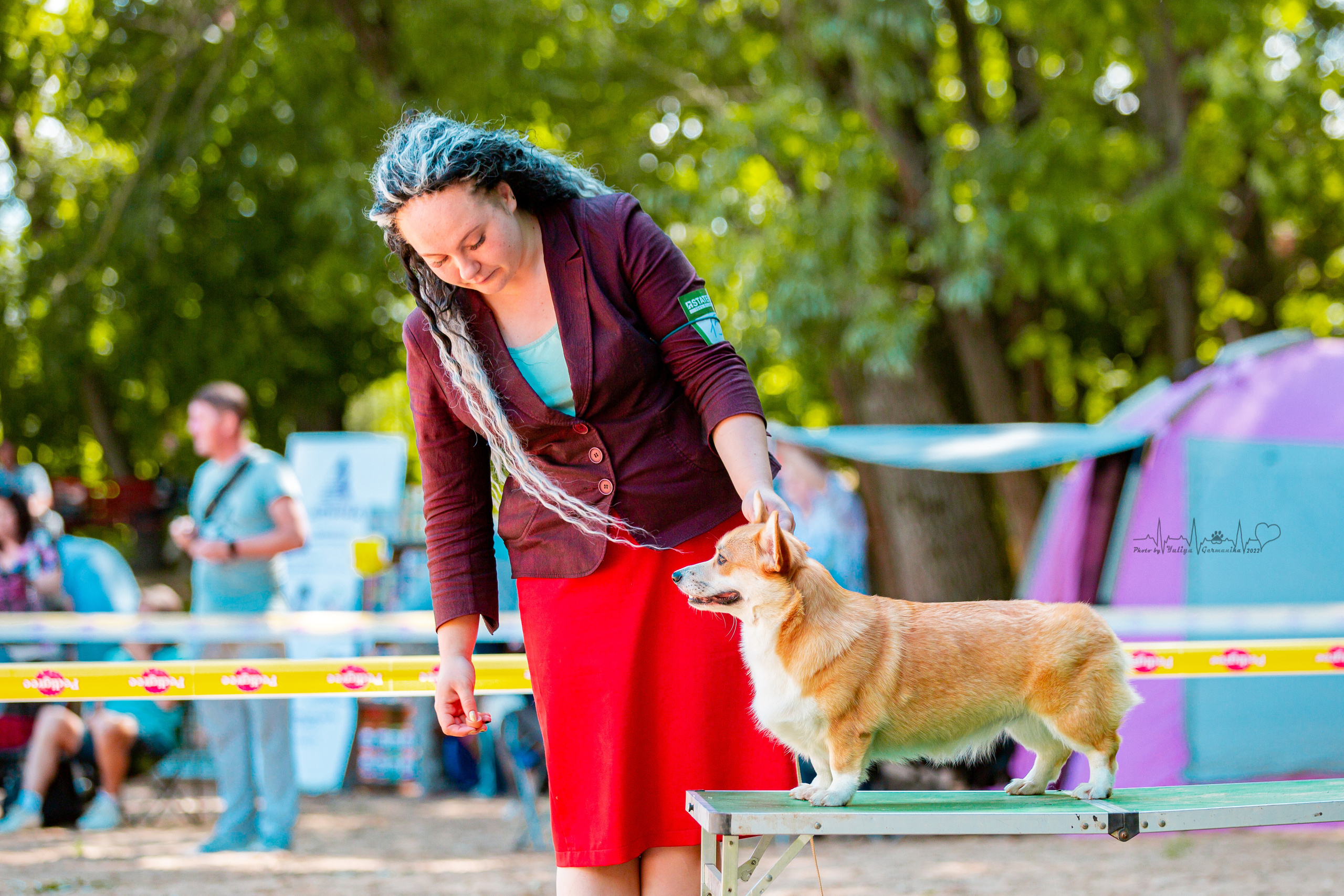 Ховрино 31.07,Чайна-Таун 6.08,Тверь 7.08. Фотограф-анималист Юлия Германика