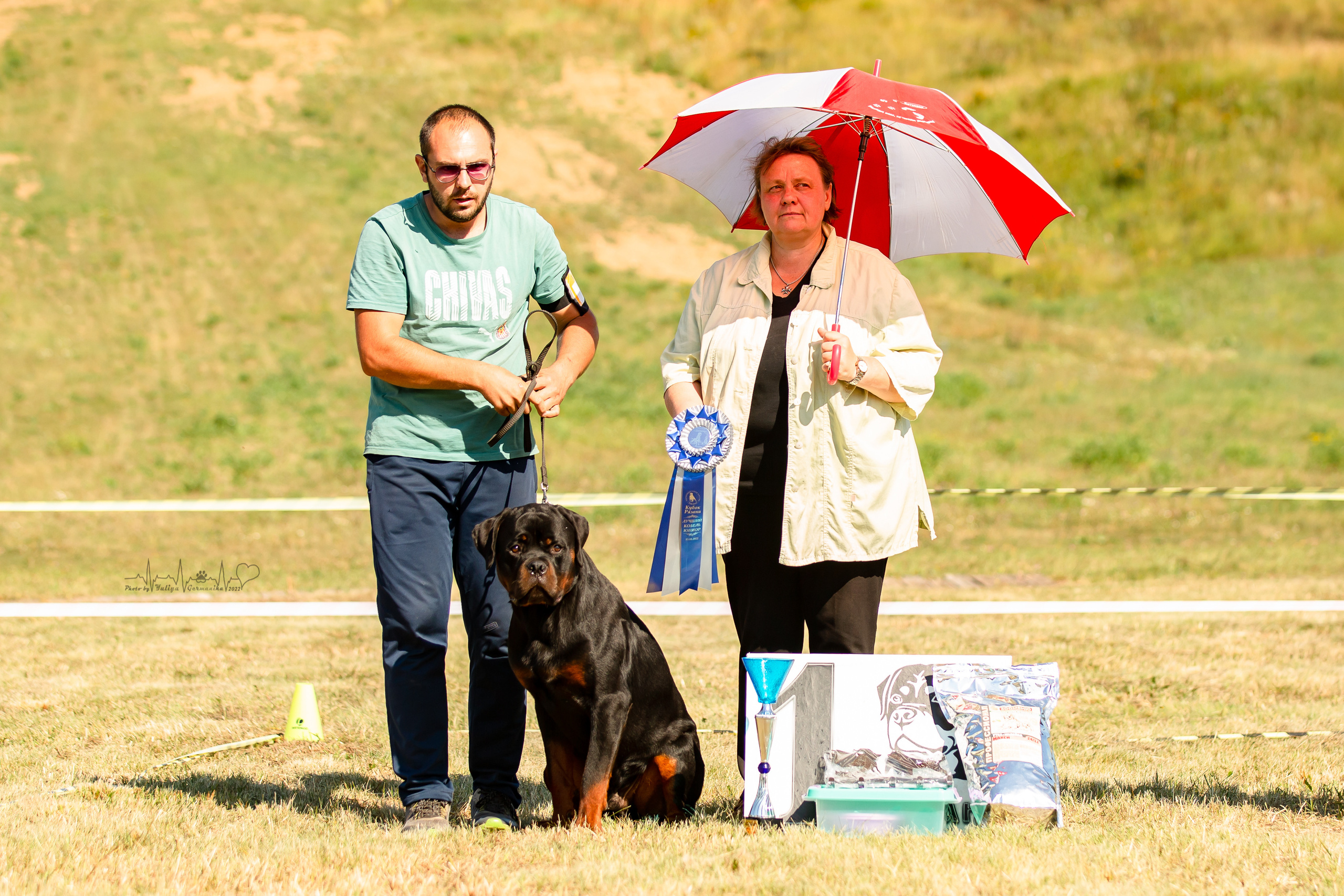 Рязань моно ротвейлеров 13.08.2022. Фотограф-анималист Юлия Германика