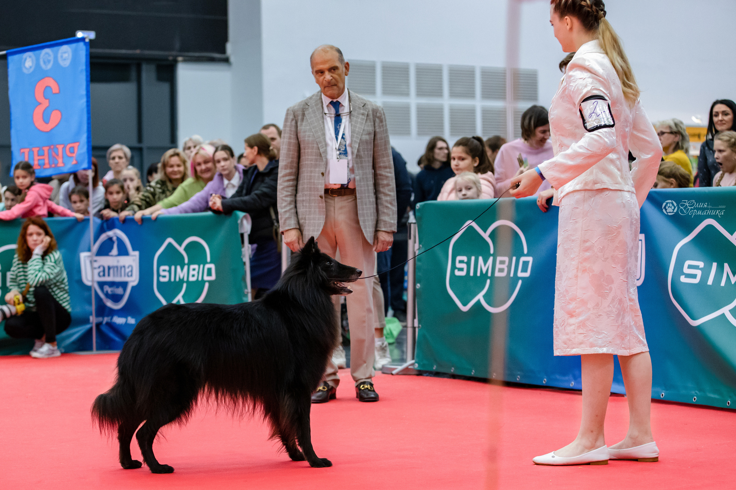 Нижний Новгород 15-16.10.2022. Фотограф-анималист Юлия Германика