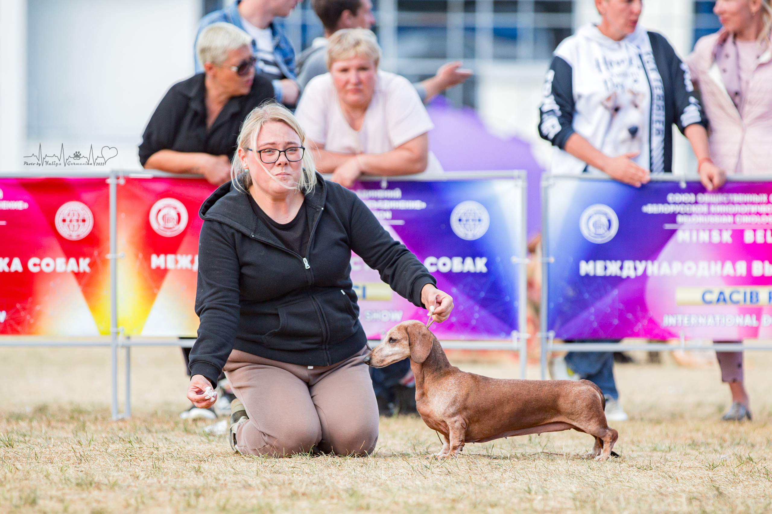 Минск 2хCACIB 3-4.09.2022. Фотограф-анималист Юлия Германика