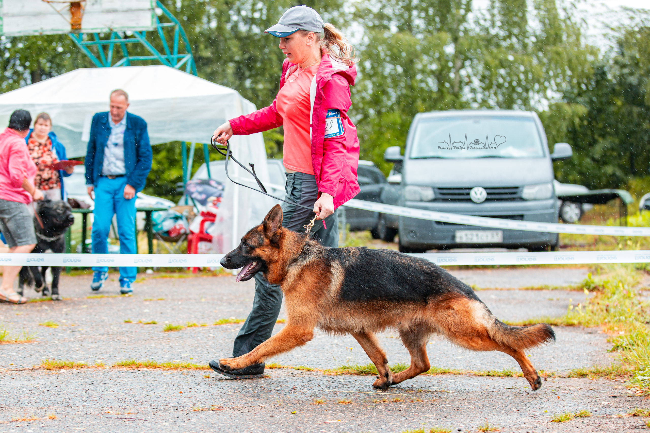 Ховрино 31.07,Чайна-Таун 6.08,Тверь 7.08. Фотограф-анималист Юлия Германика