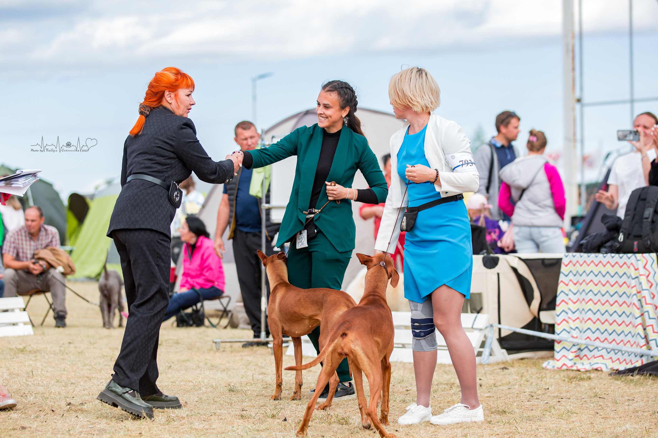 Минск 2хCACIB 3-4.09.2022. Фотограф-анималист Юлия Германика