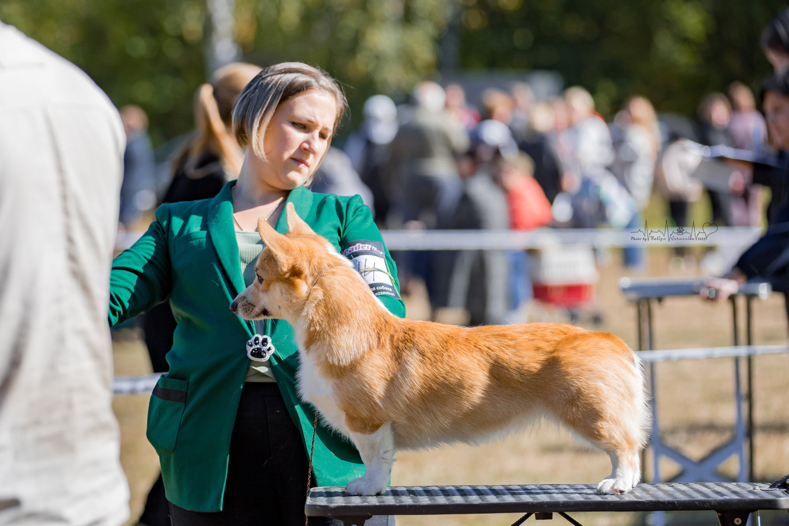 Пушкино ЧРКФ 17.09.2022. Фотограф-анималист Юлия Германика