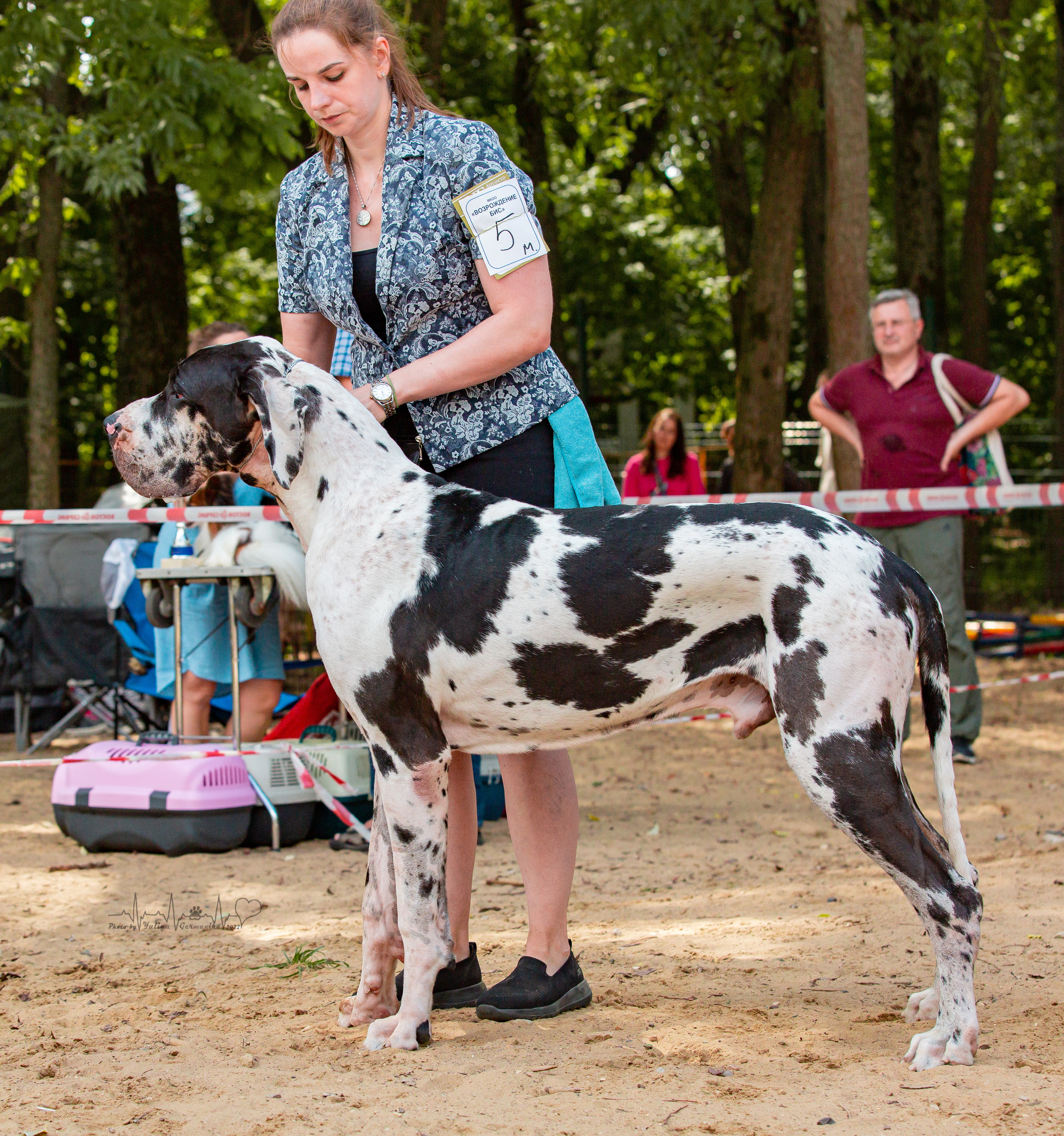 Ховрино фестиваль монопородок 14.08.2022. Фотограф-анималист Юлия Германика