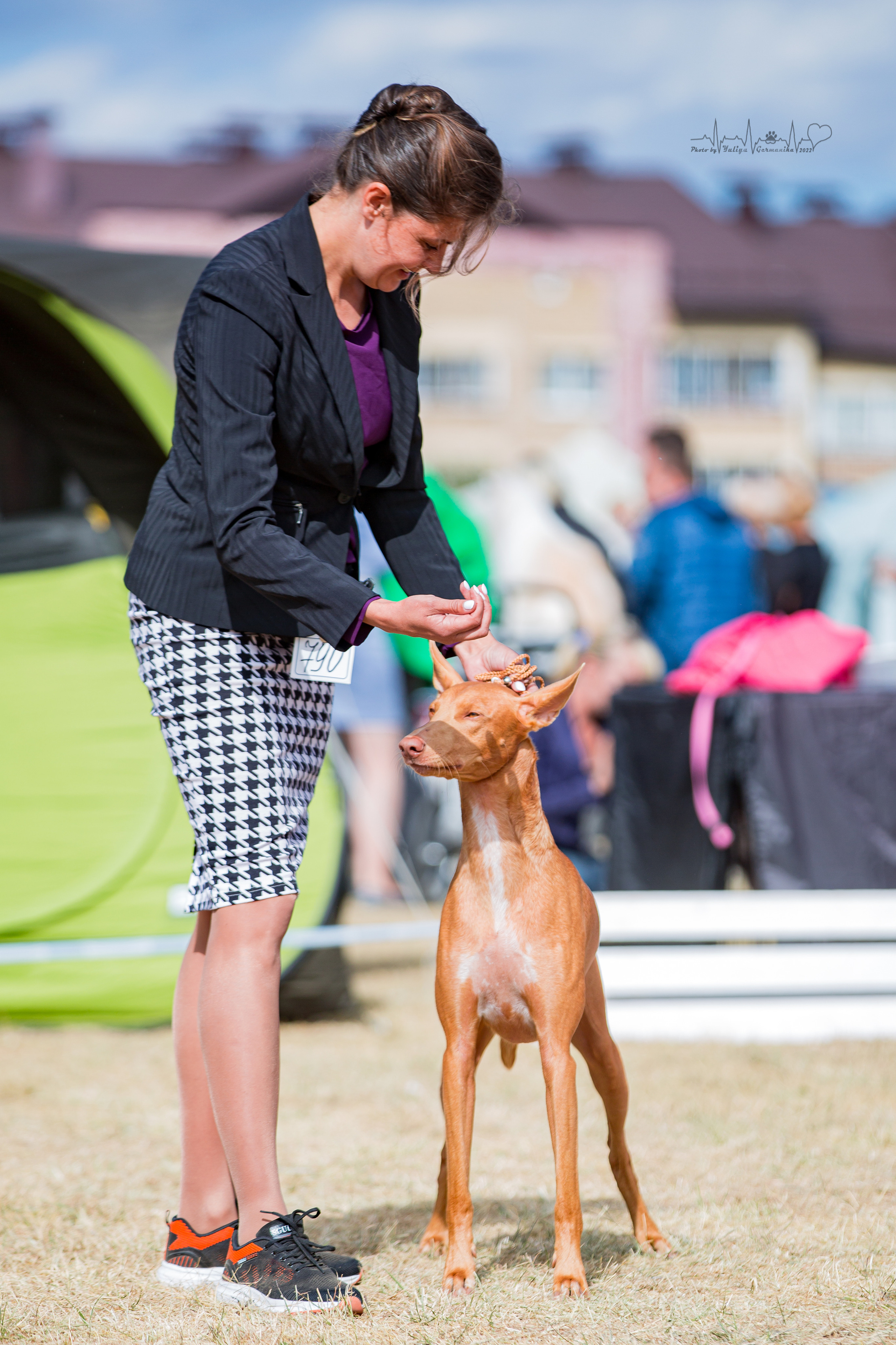 Минск 2хCACIB 3-4.09.2022. Фотограф-анималист Юлия Германика