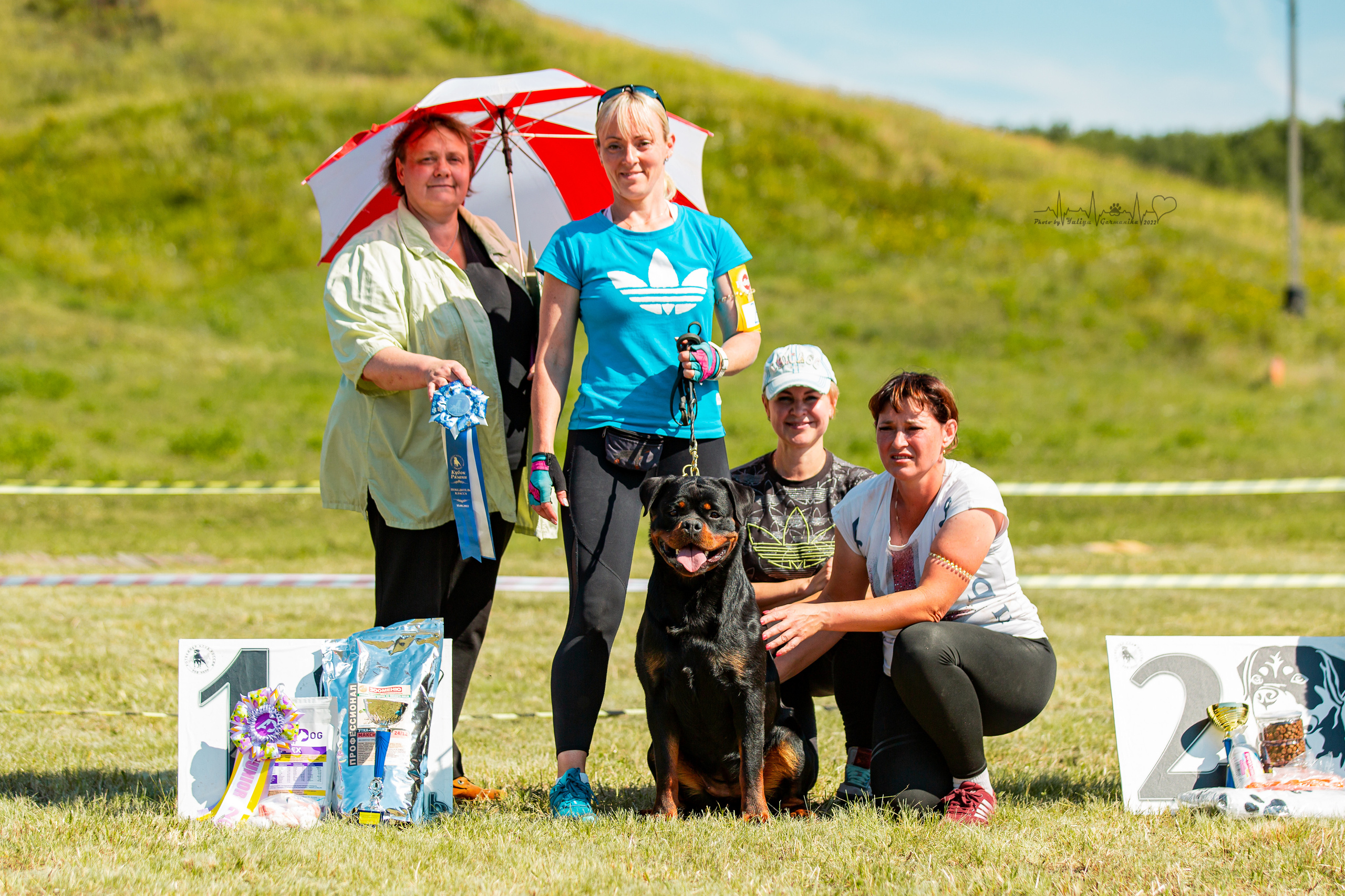 Рязань моно ротвейлеров 13.08.2022. Фотограф-анималист Юлия Германика
