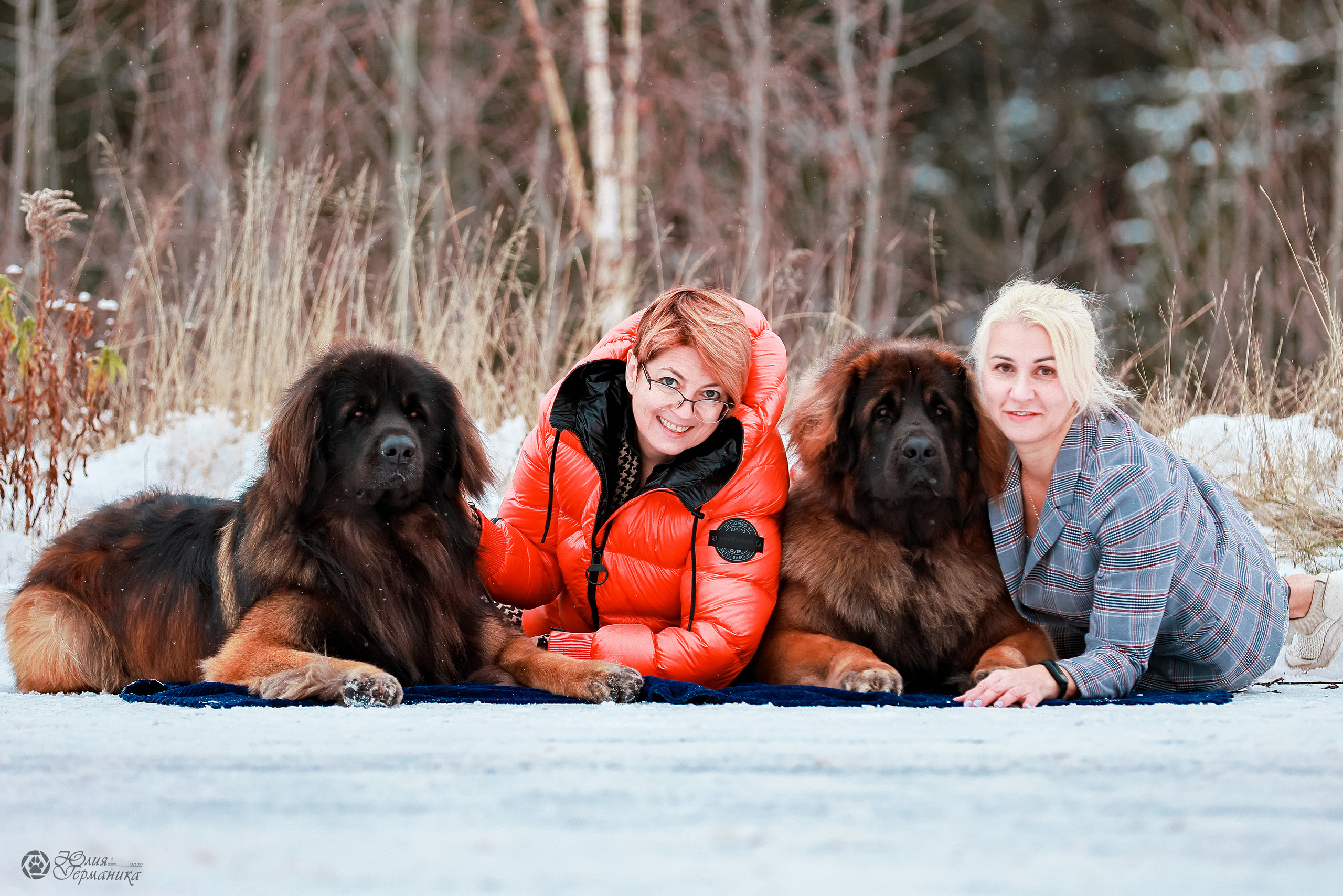 Минск 19-20.11.2022. Фотограф-анималист Юлия Германика